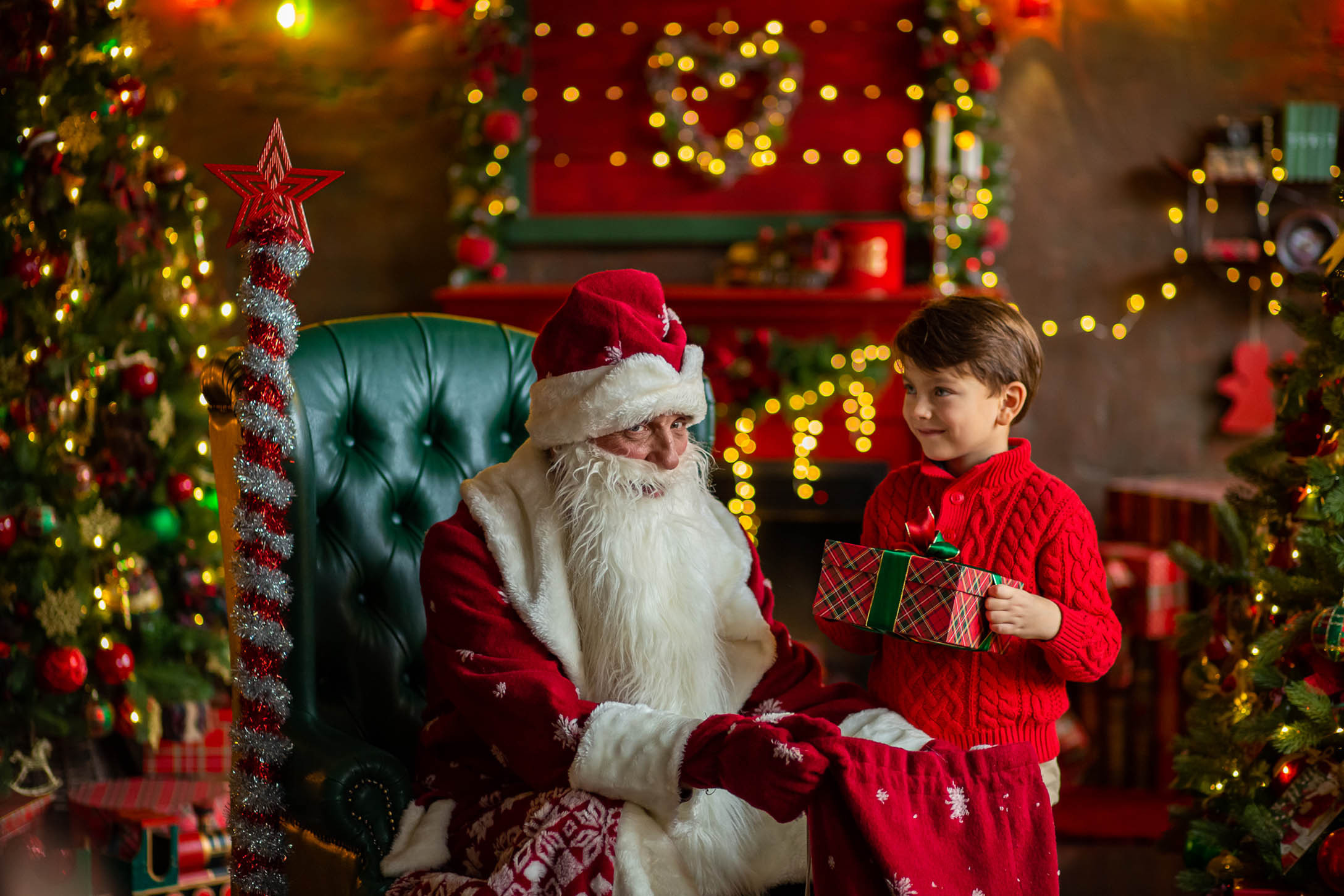 Новый год 2021 фотостудия Леонардо. Фотограф Дмитров. Москва