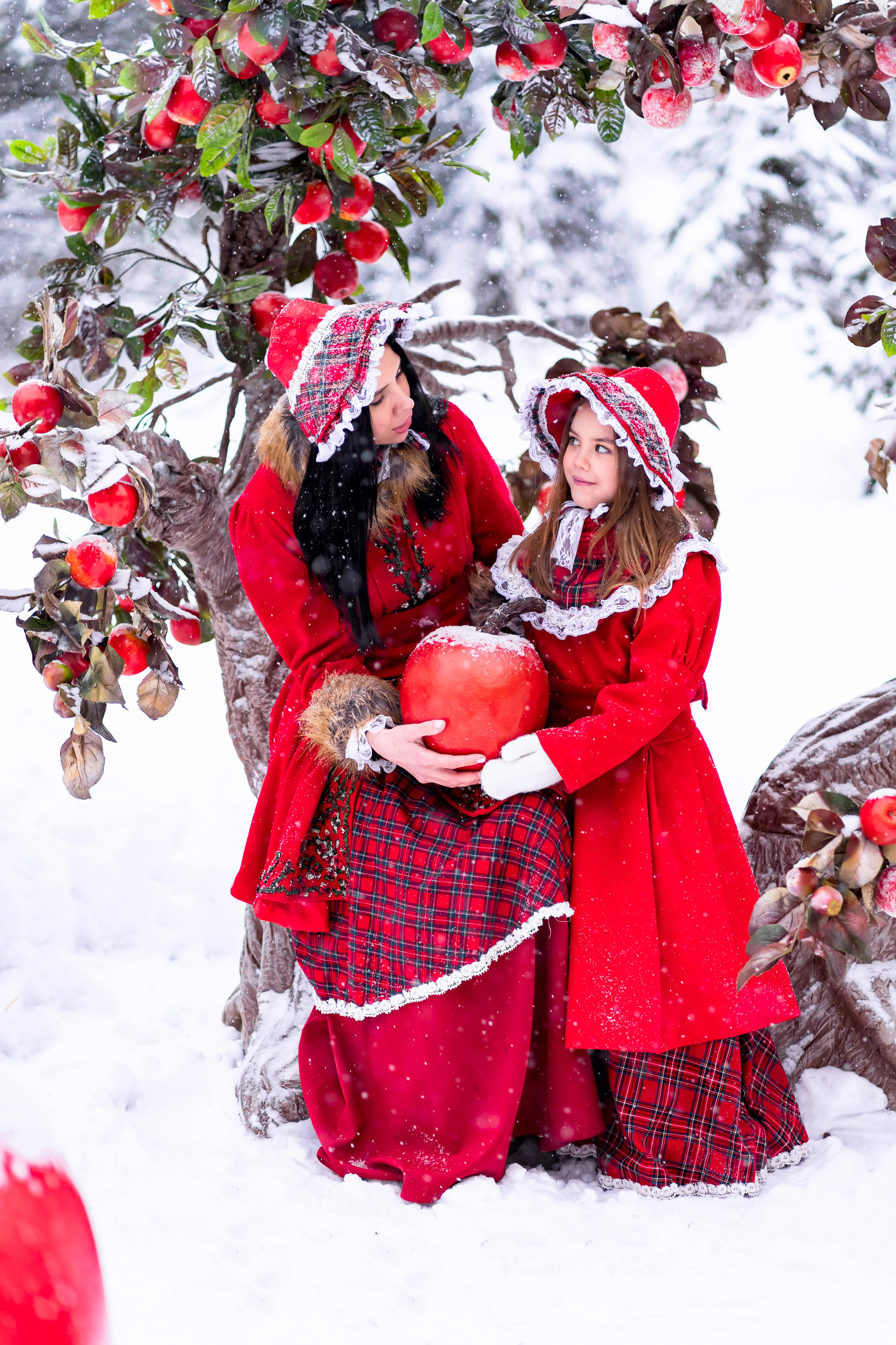 Яблочки на снегу. Фотограф Дмитров. Москва