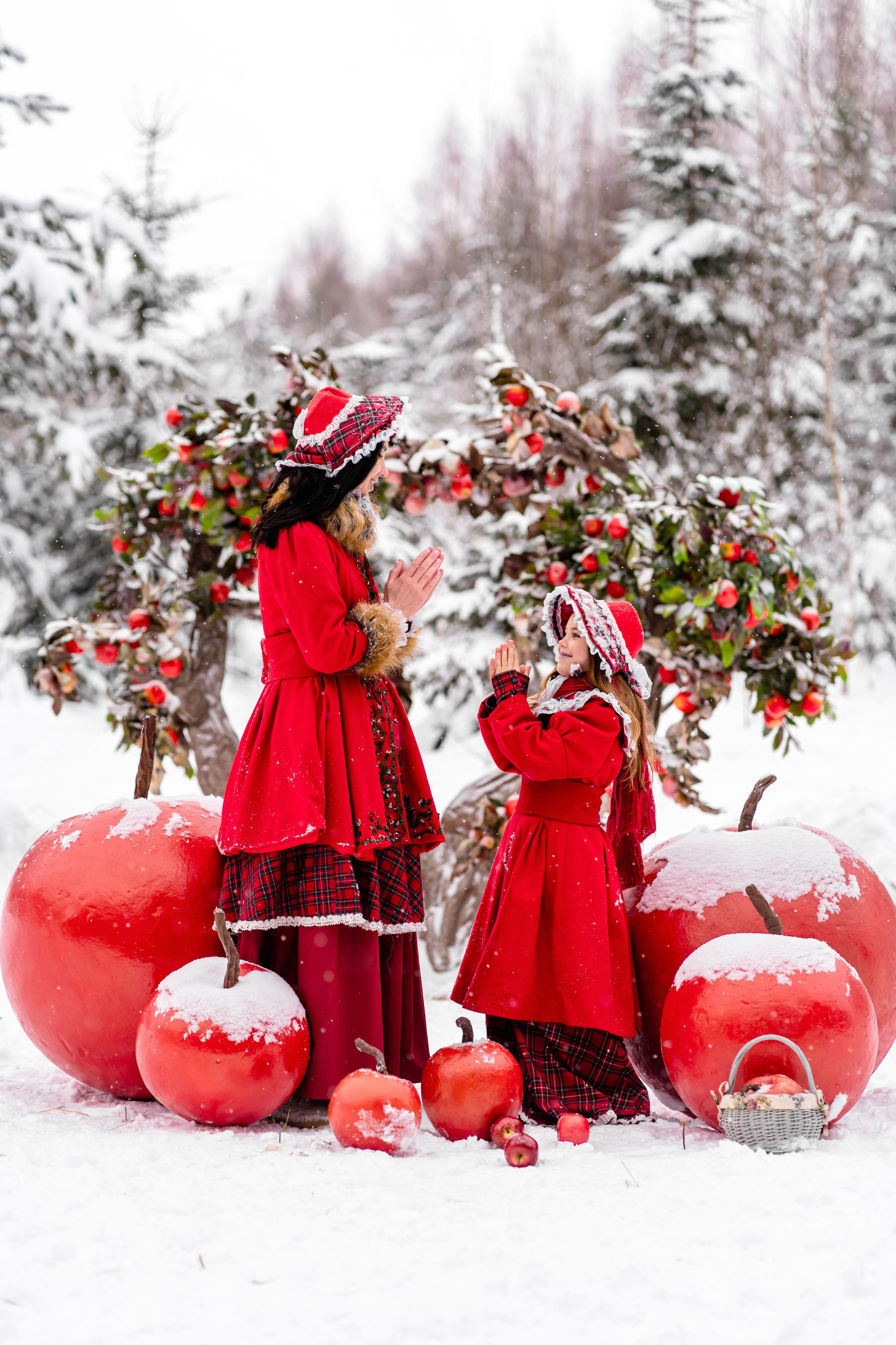 Яблочки на снегу. Фотограф Дмитров. Москва
