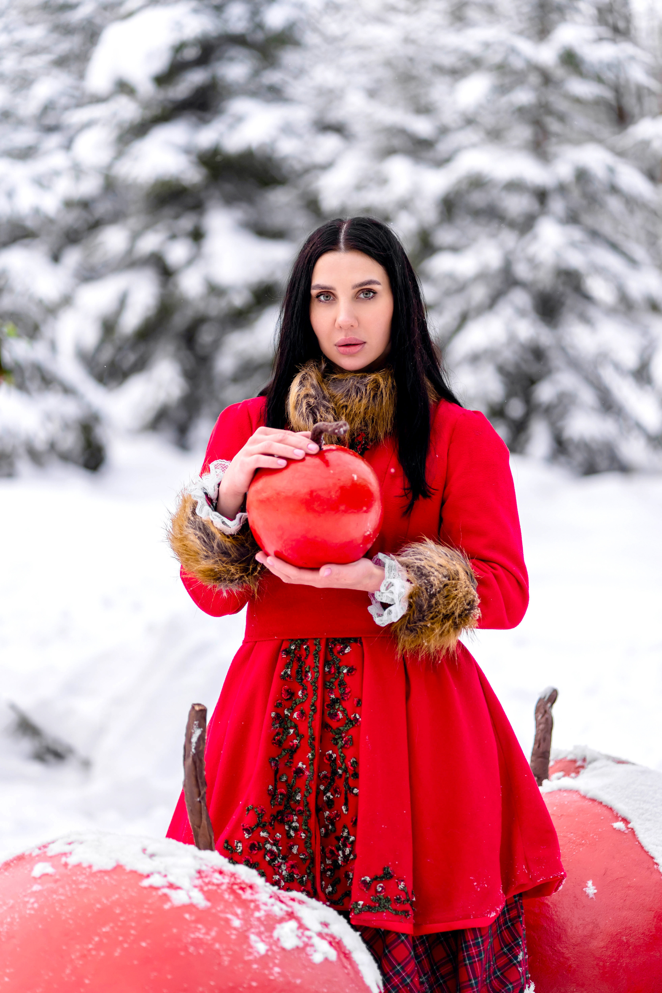 Яблочки на снегу. Фотограф Дмитров. Москва