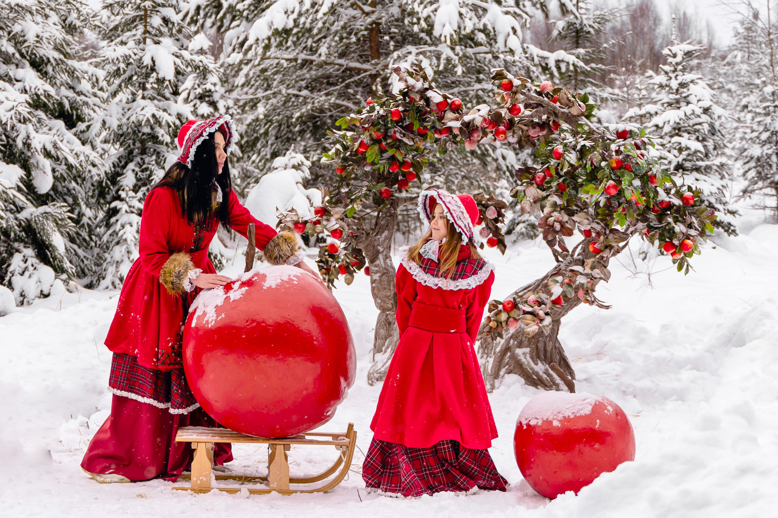 Яблочки на снегу. Фотограф Дмитров. Москва