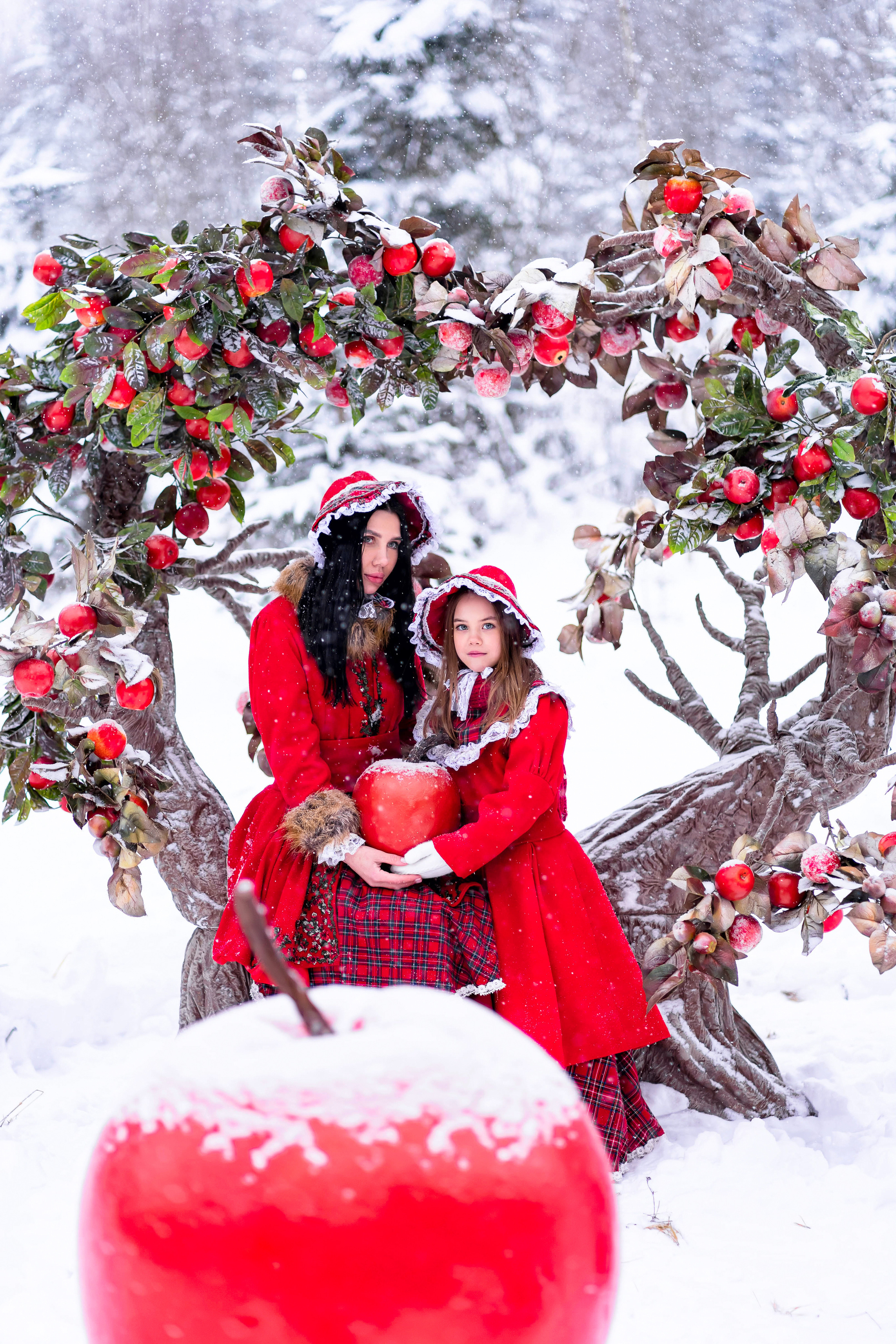 Яблочки на снегу. Фотограф Дмитров. Москва