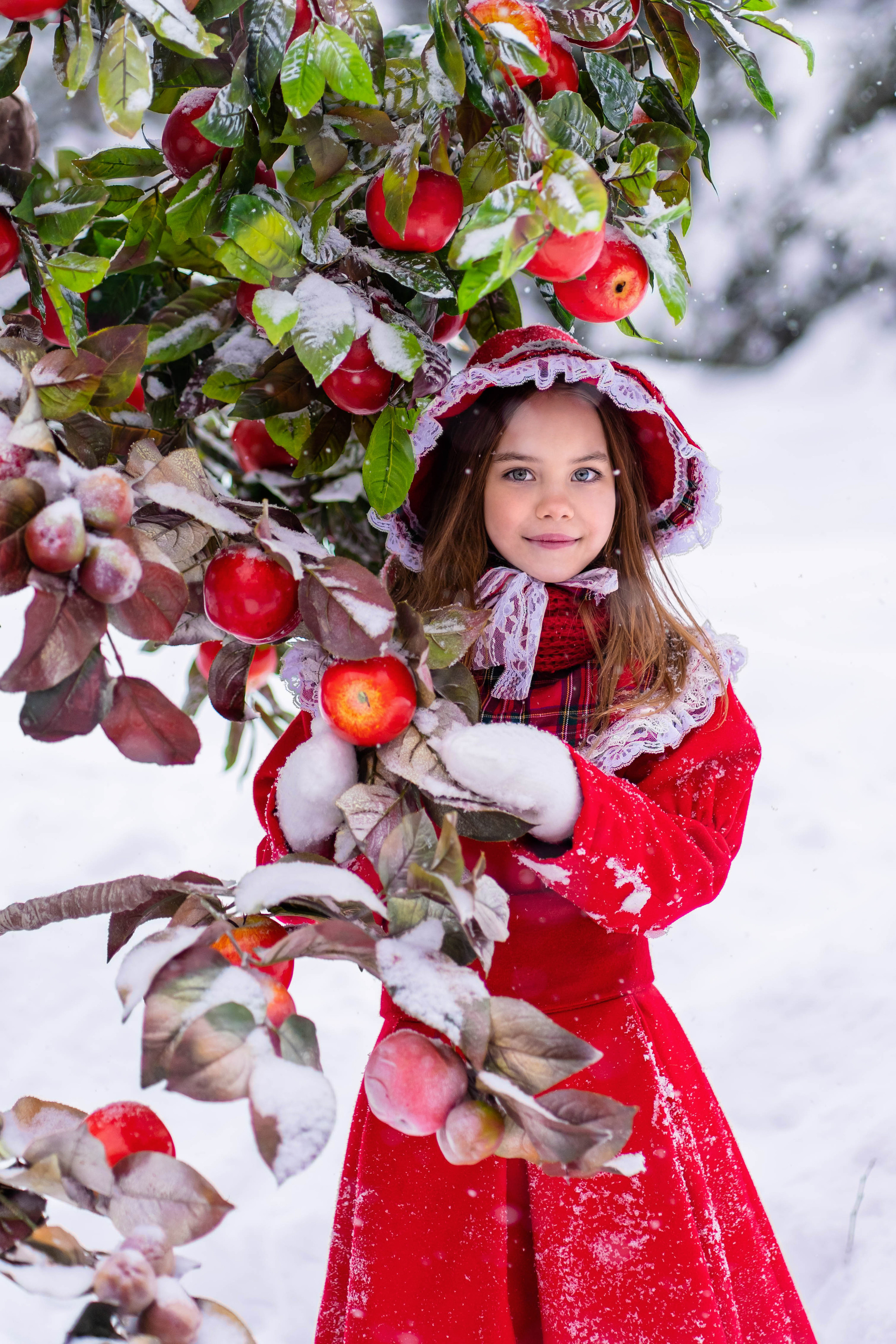 Яблочки на снегу. Фотограф Дмитров. Москва