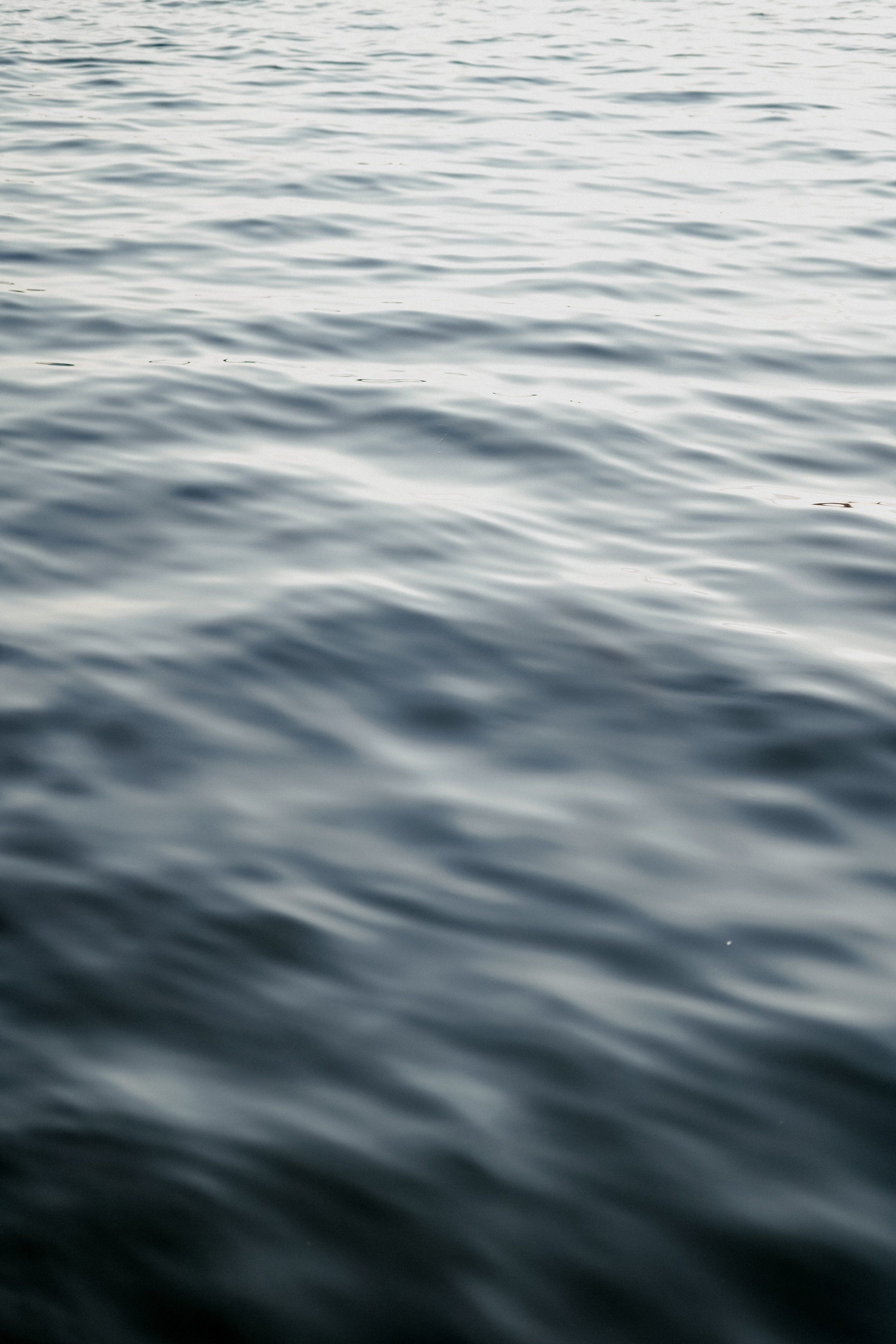 Дима и Настя. Фотограф Валерия Крахмалева