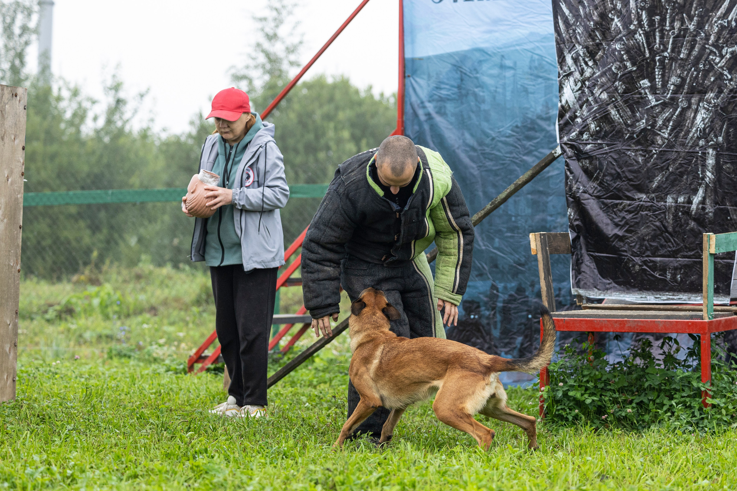 Соревнования по Мондьорингу г. Вологда 10-11.08.2024. Фотограф-анималист Анна Маринич