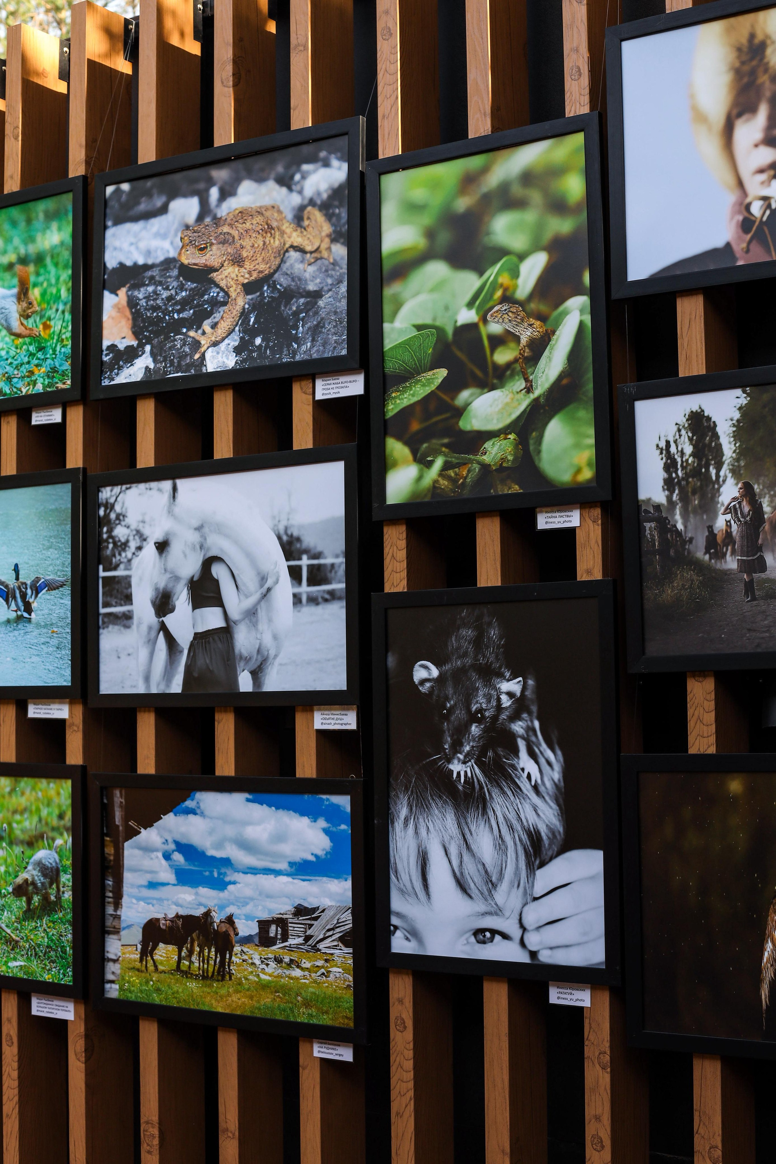 Выставки. Семейный и детский фотограф в Алматы Юровских Инесса