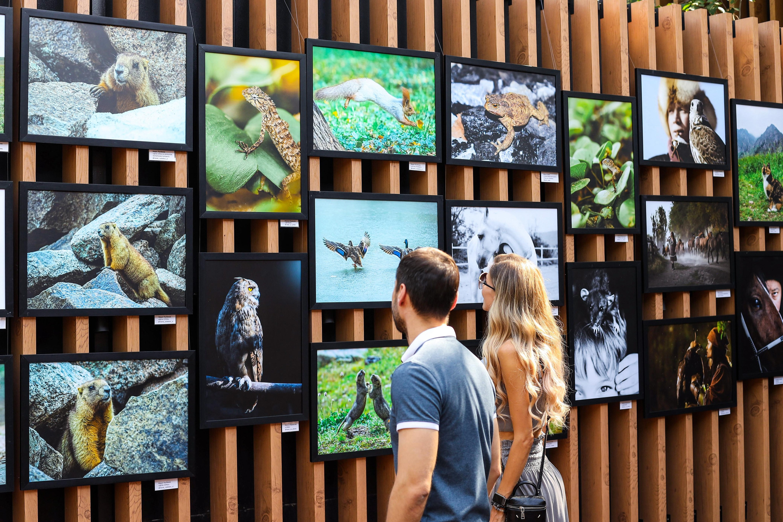 Выставки. Семейный и детский фотограф в Алматы Юровских Инесса