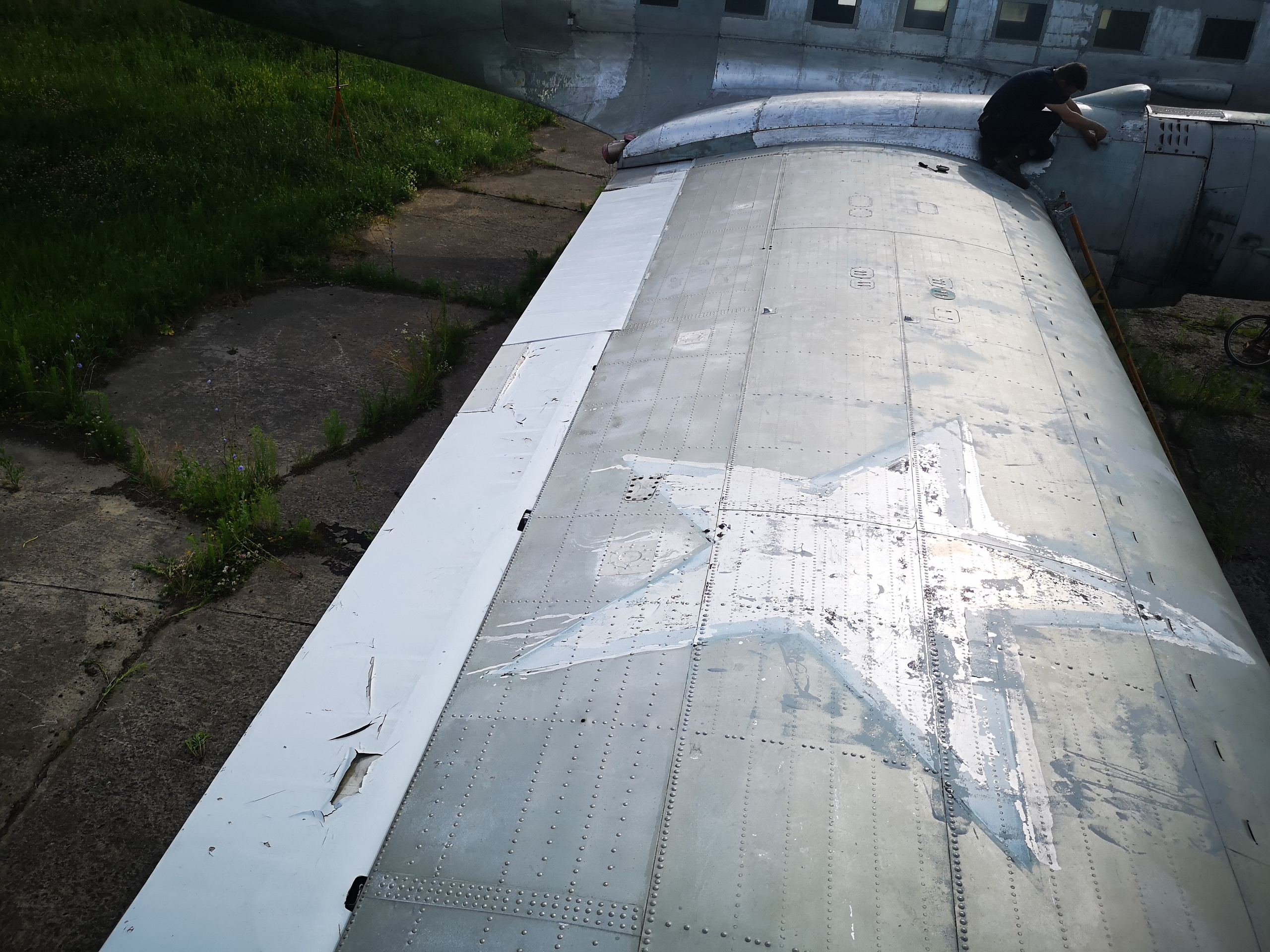 Ил-14Т «Голубая Мечта» (2020 г.). Фотоальбом показывающий увлекательный мир авиации и мир медведей Андрея Иванова