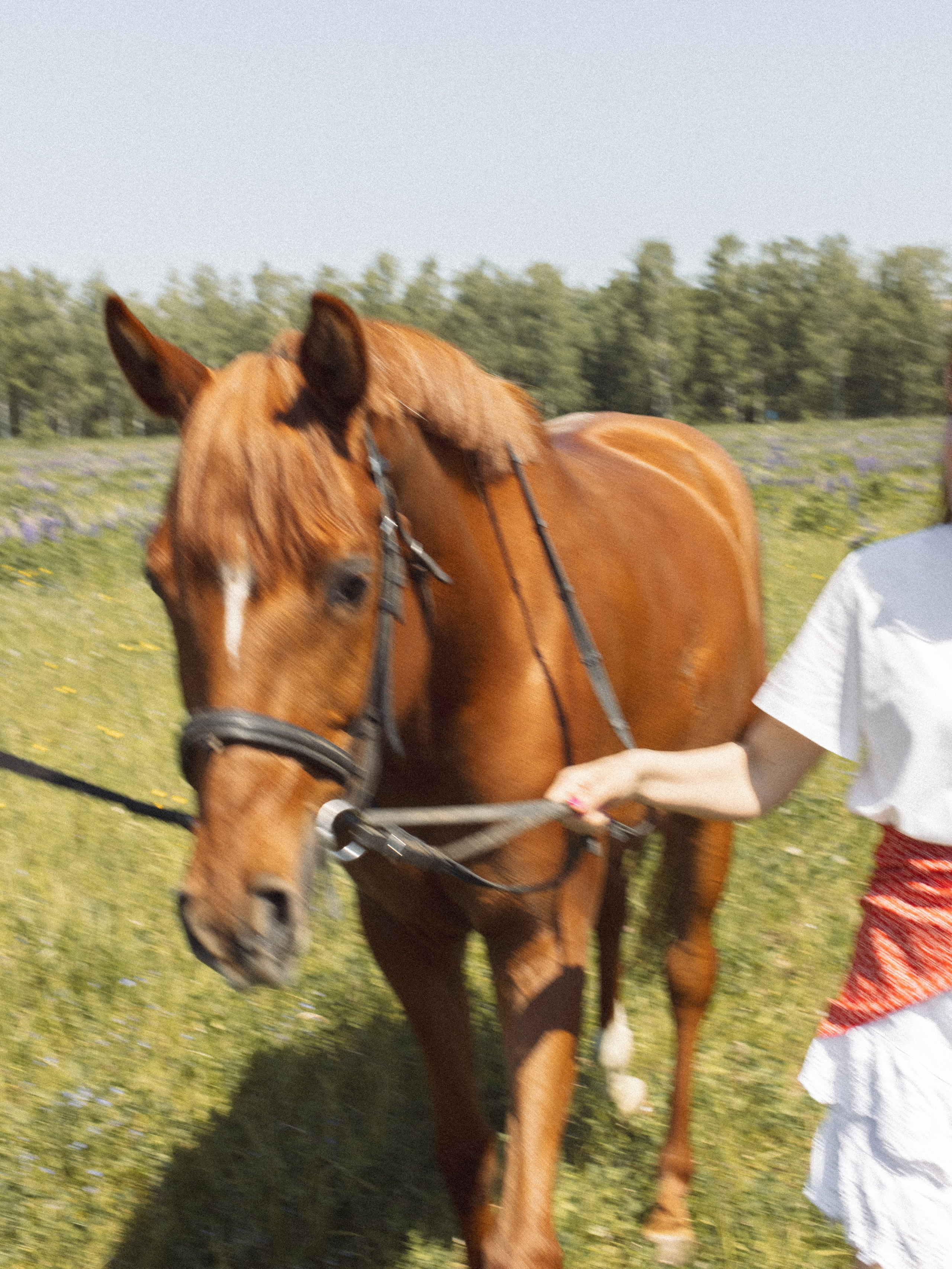 Таня и Фаня. Фотограф Евгения Счастливая, Нижний Новгород, Москва