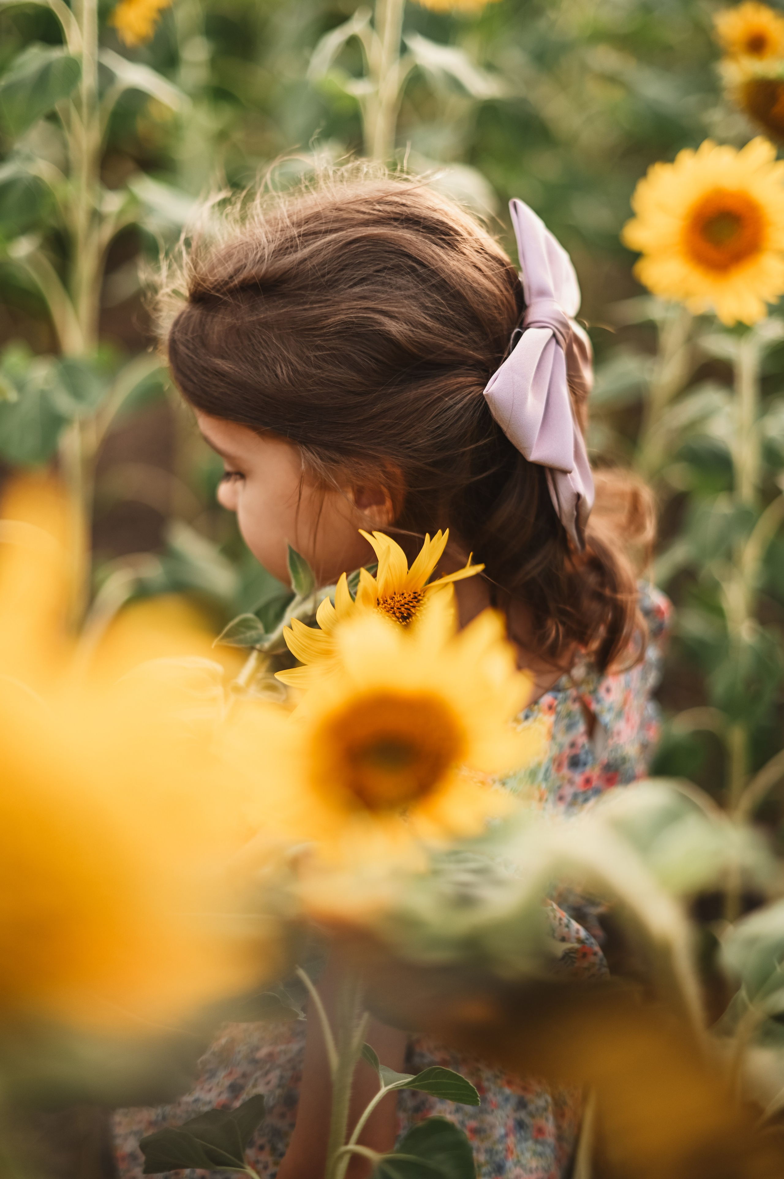 Подсолнухи Света, Даша, Миша, Александр. Фотограф Алёна Мил