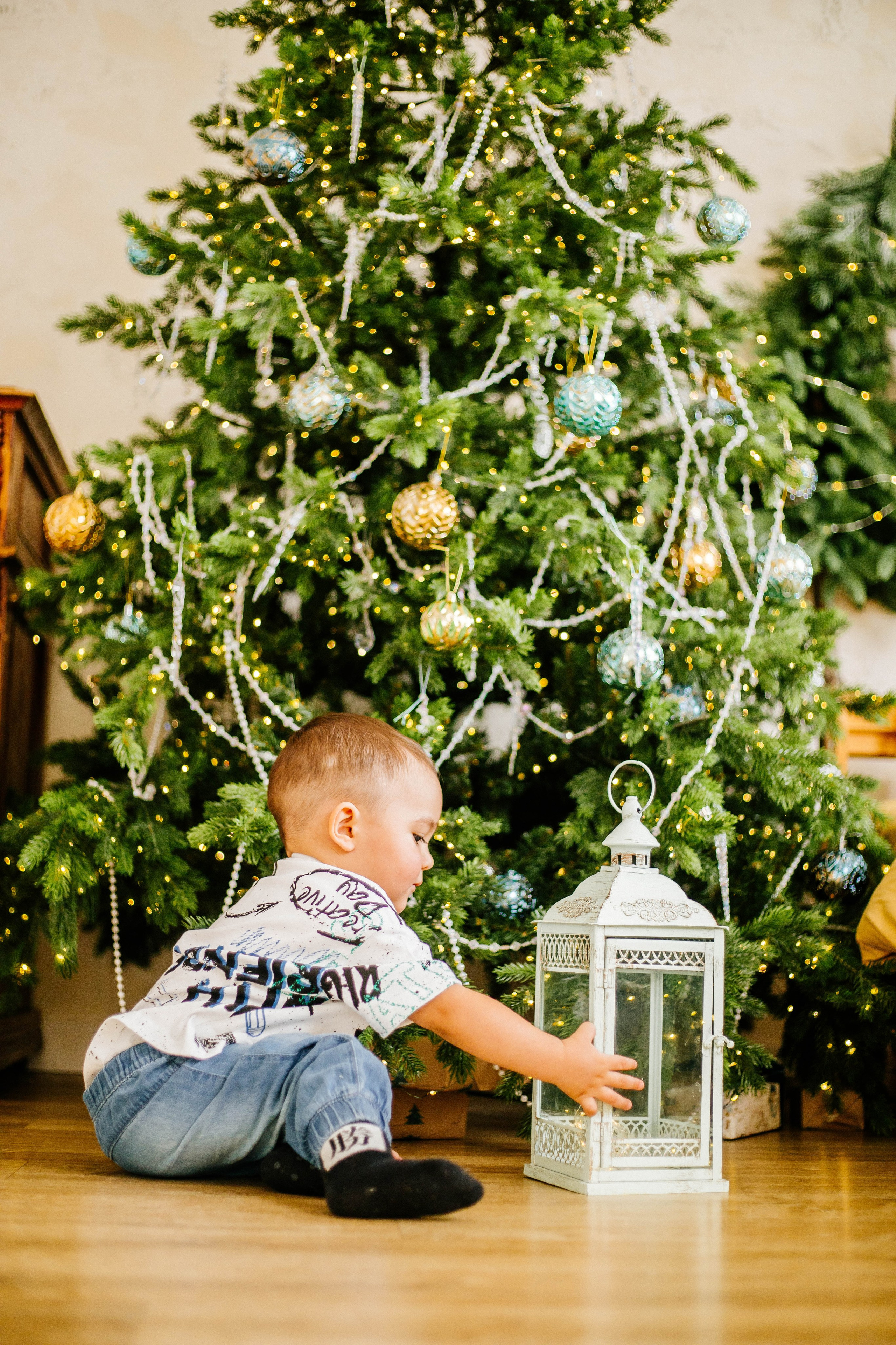 Лев с семьей. Рыжова Тамара