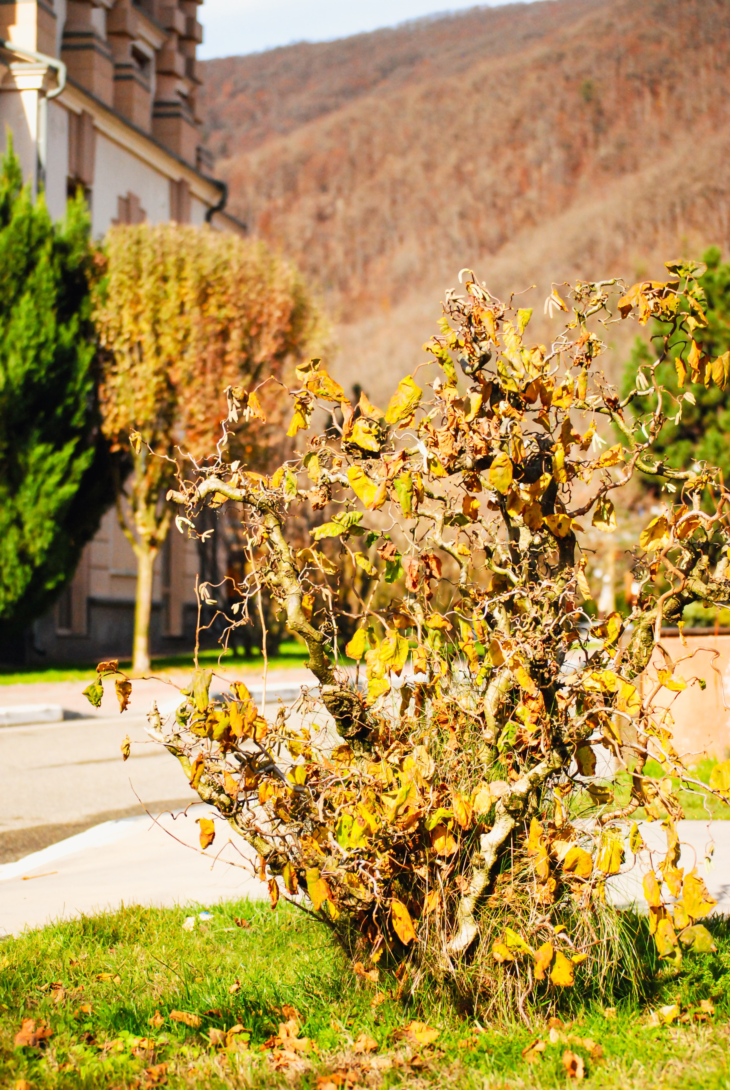 Пейзажная Фотопрогулка. Индивидуальная и Семейная Фотосъёмка для каждого