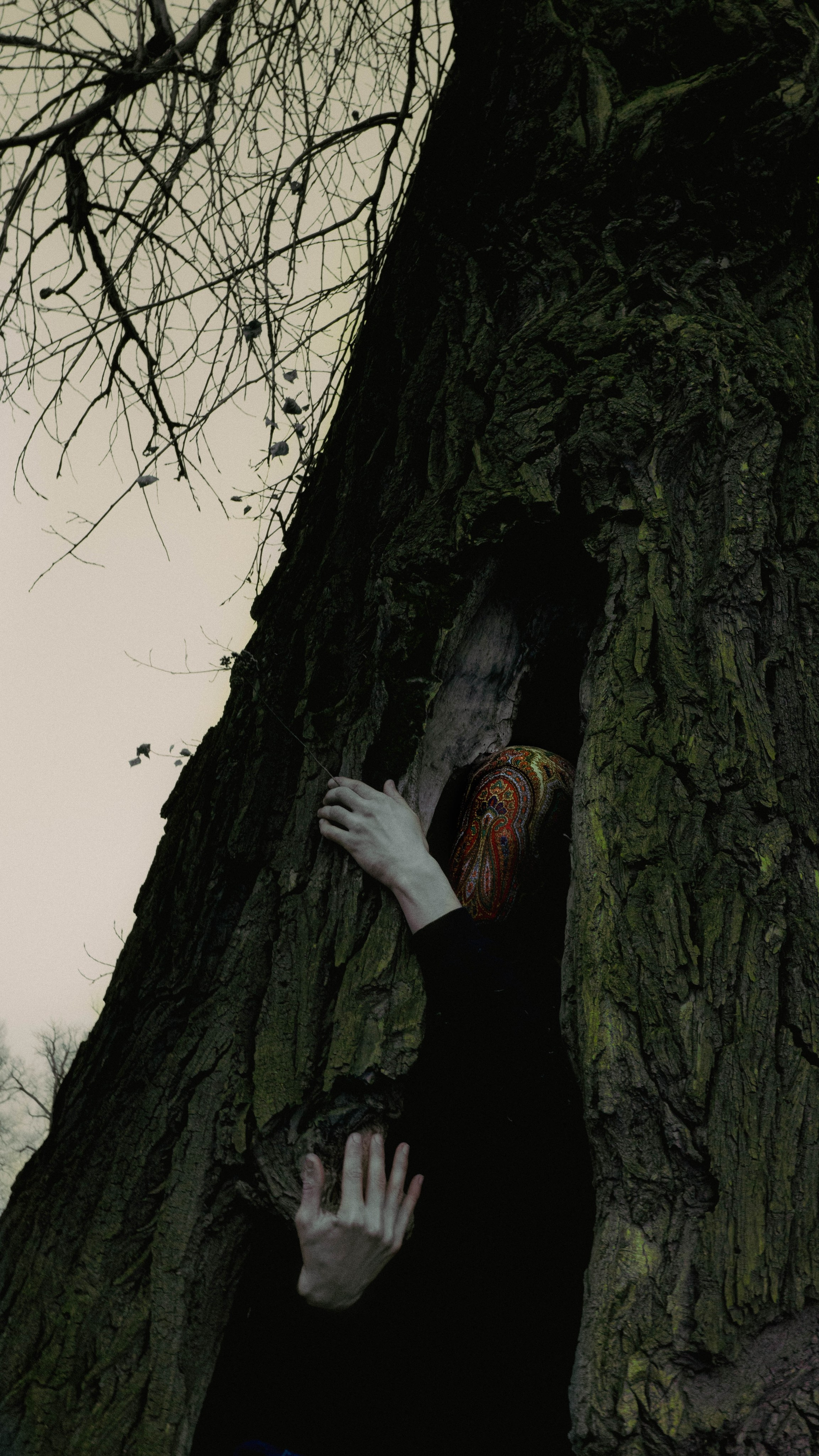 Художественные портреты. Главная