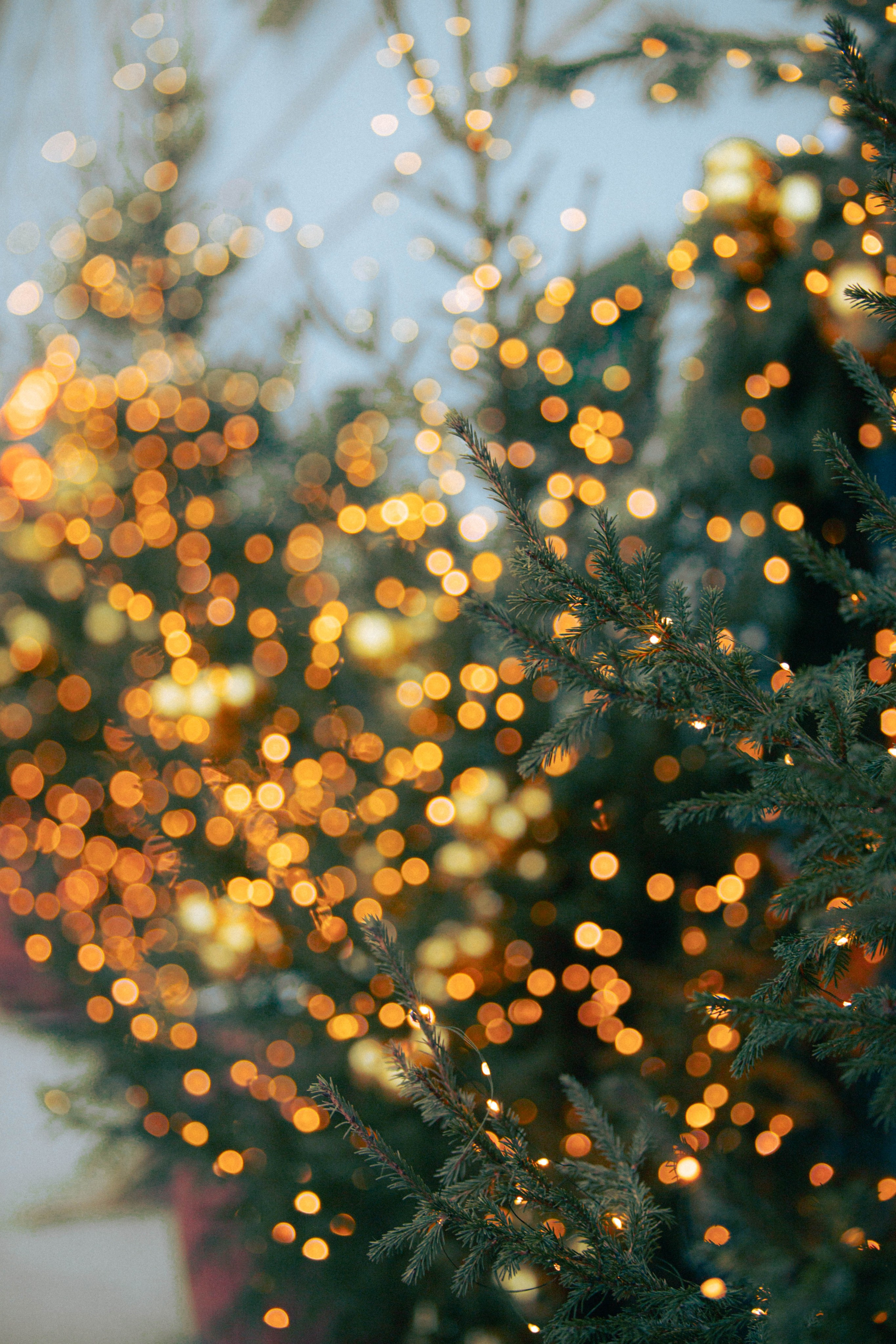 Ночная Москва. Александра Мельниченко/ Бегающий фотограф