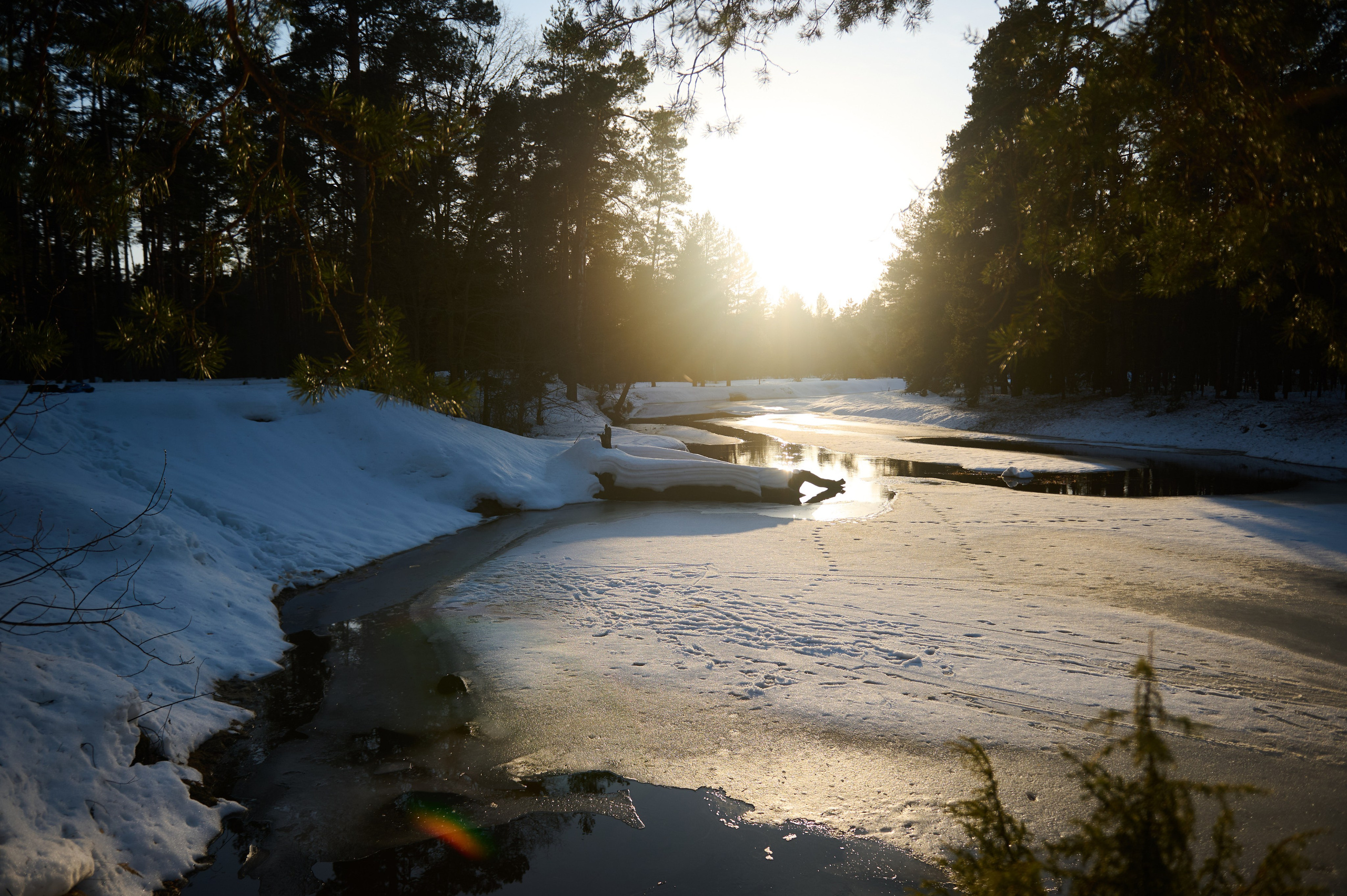 Первый весенний сплав р. Нерская. Главная