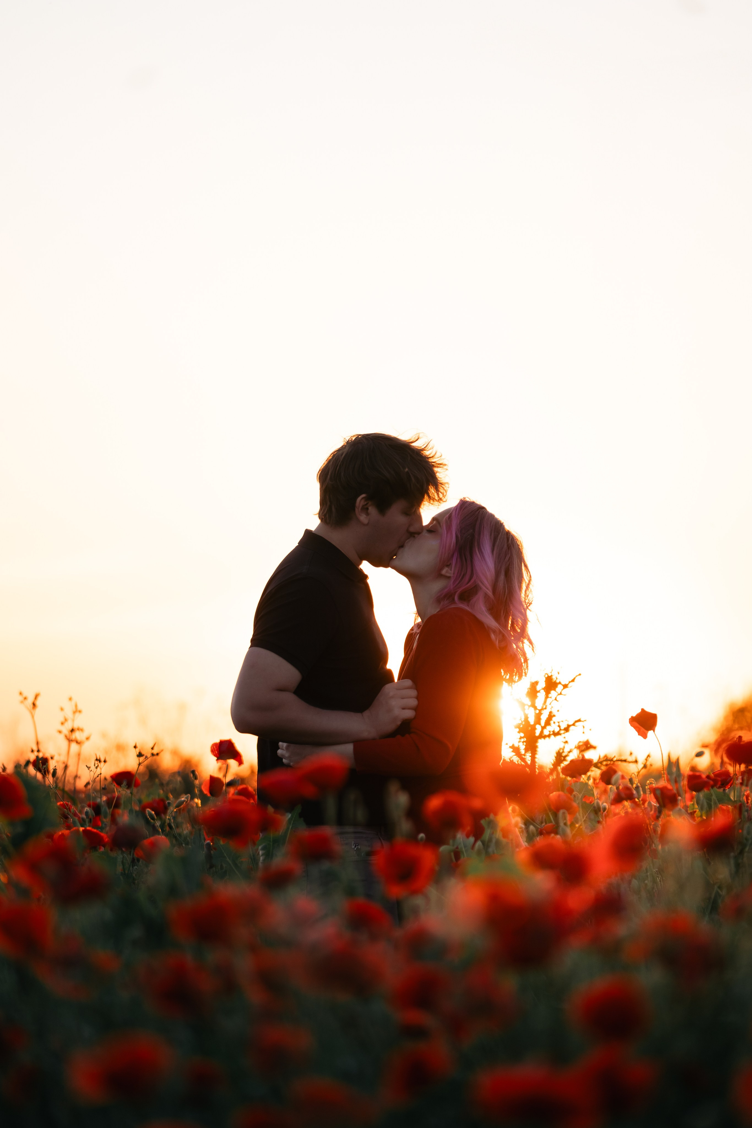 Маковое поле. Фотограф анималист