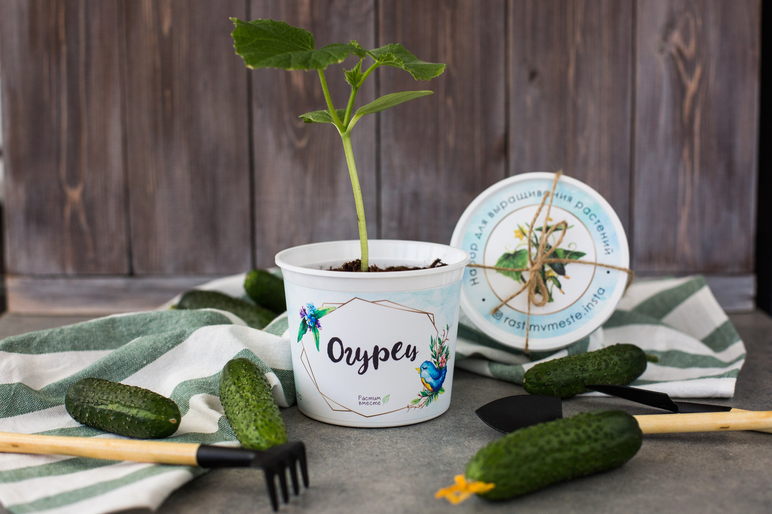 Растим вместе. Главная