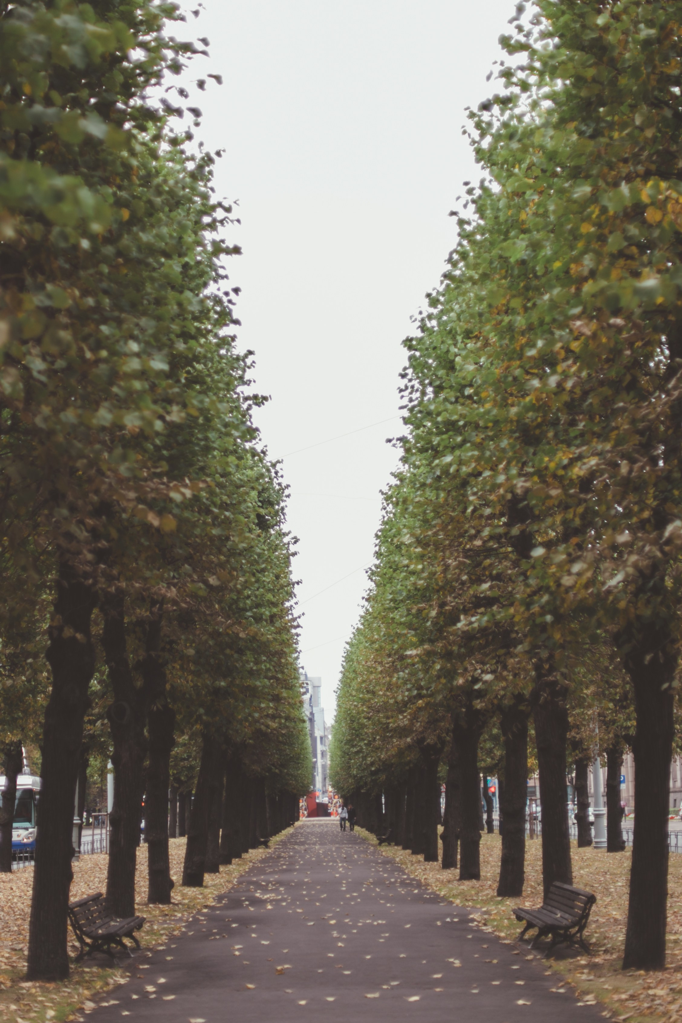 Латвия. Аня Степанова