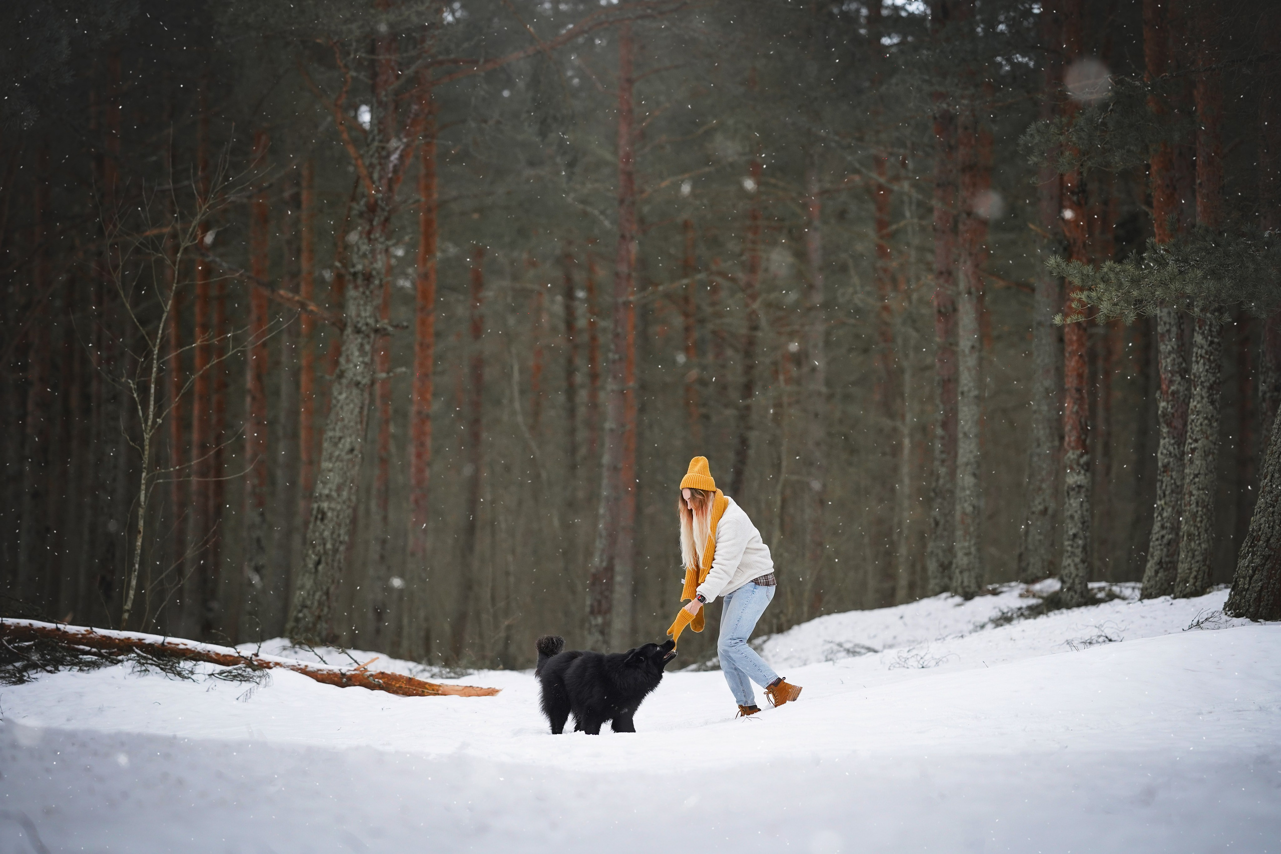 Лора Джанго и Хэппи. Фотограф-анималист в Санкт-Петербурге Яна Мартынова