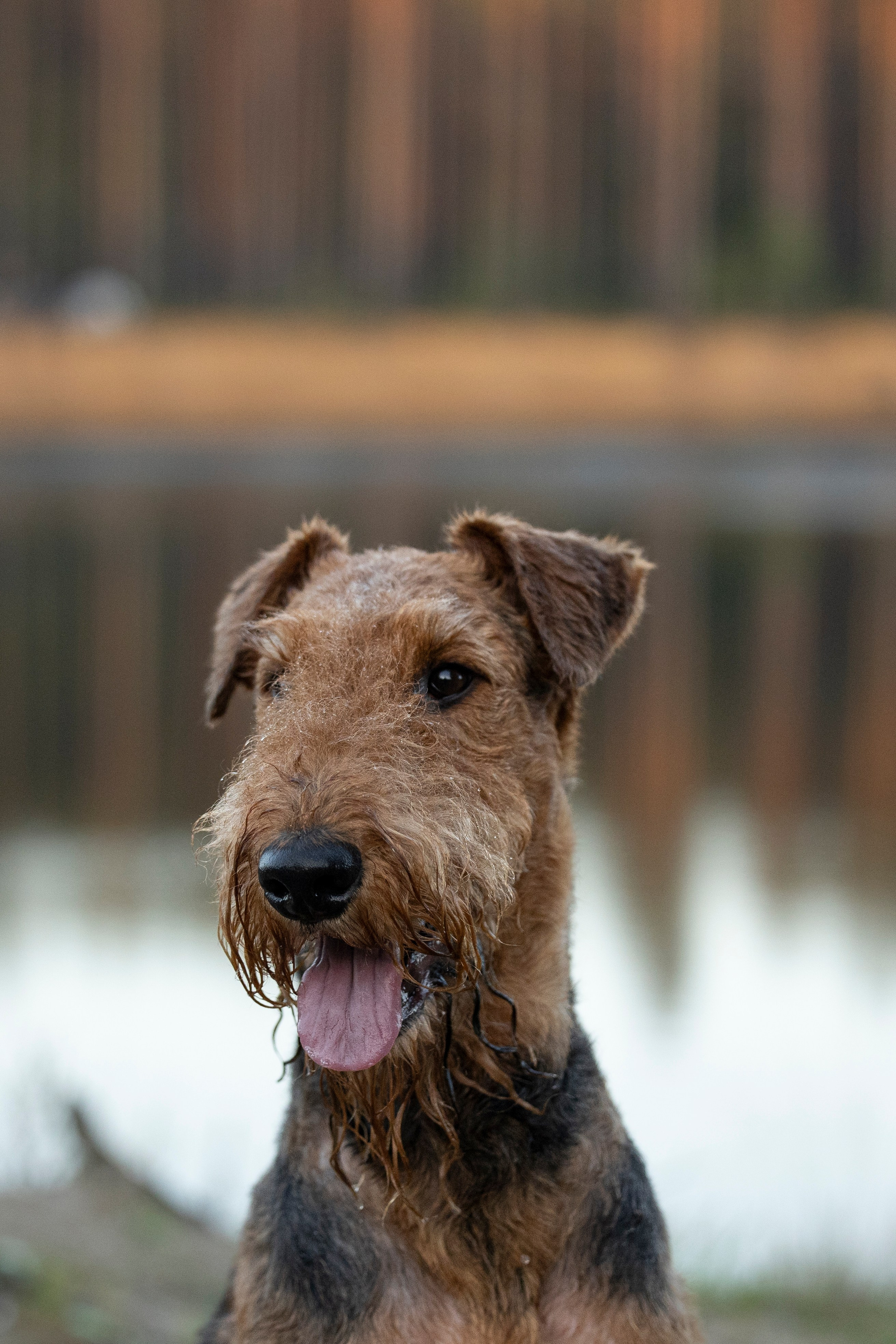 Харди. Фотограф-анималист Анна Маринич