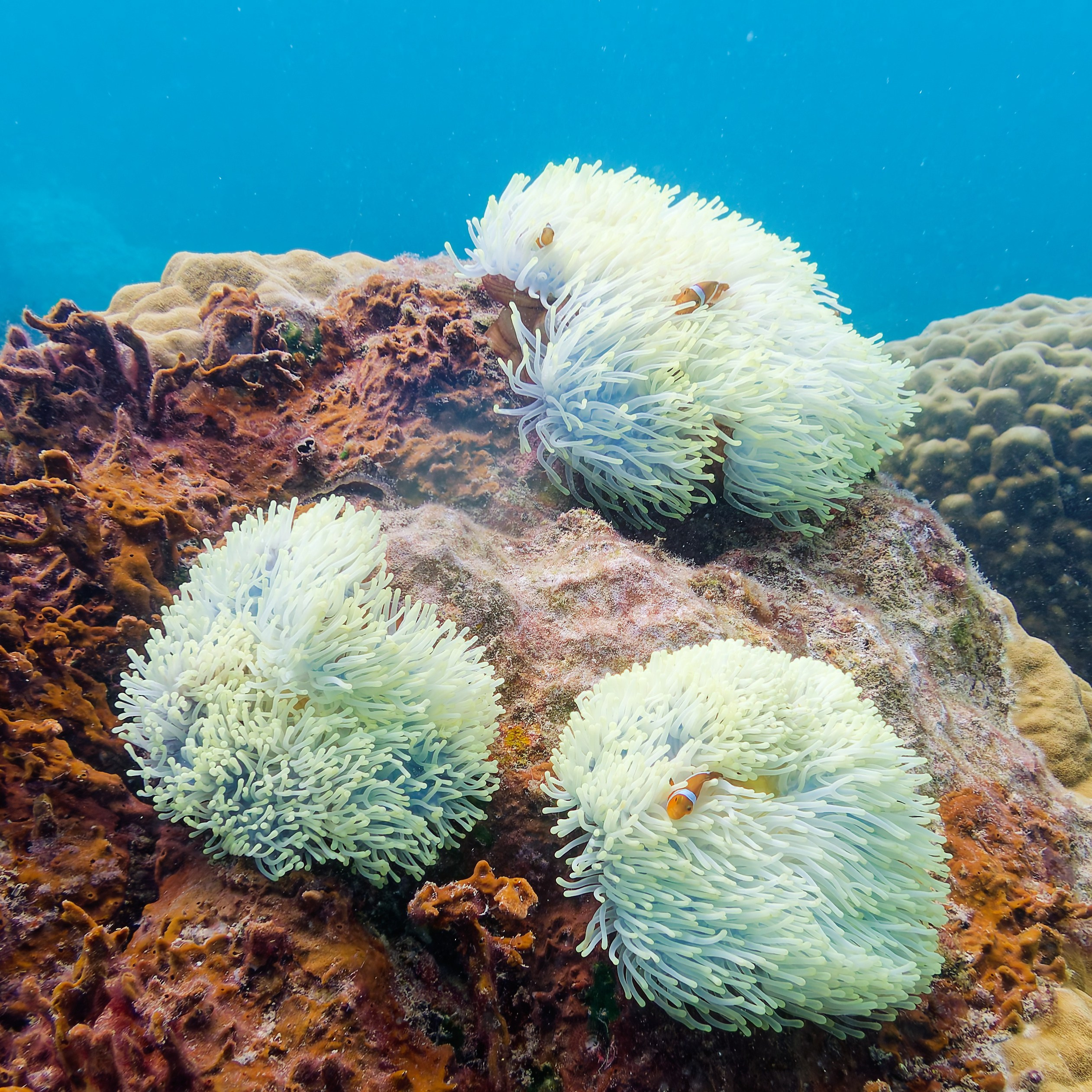 Мне посмотреть. Рыбов показываю