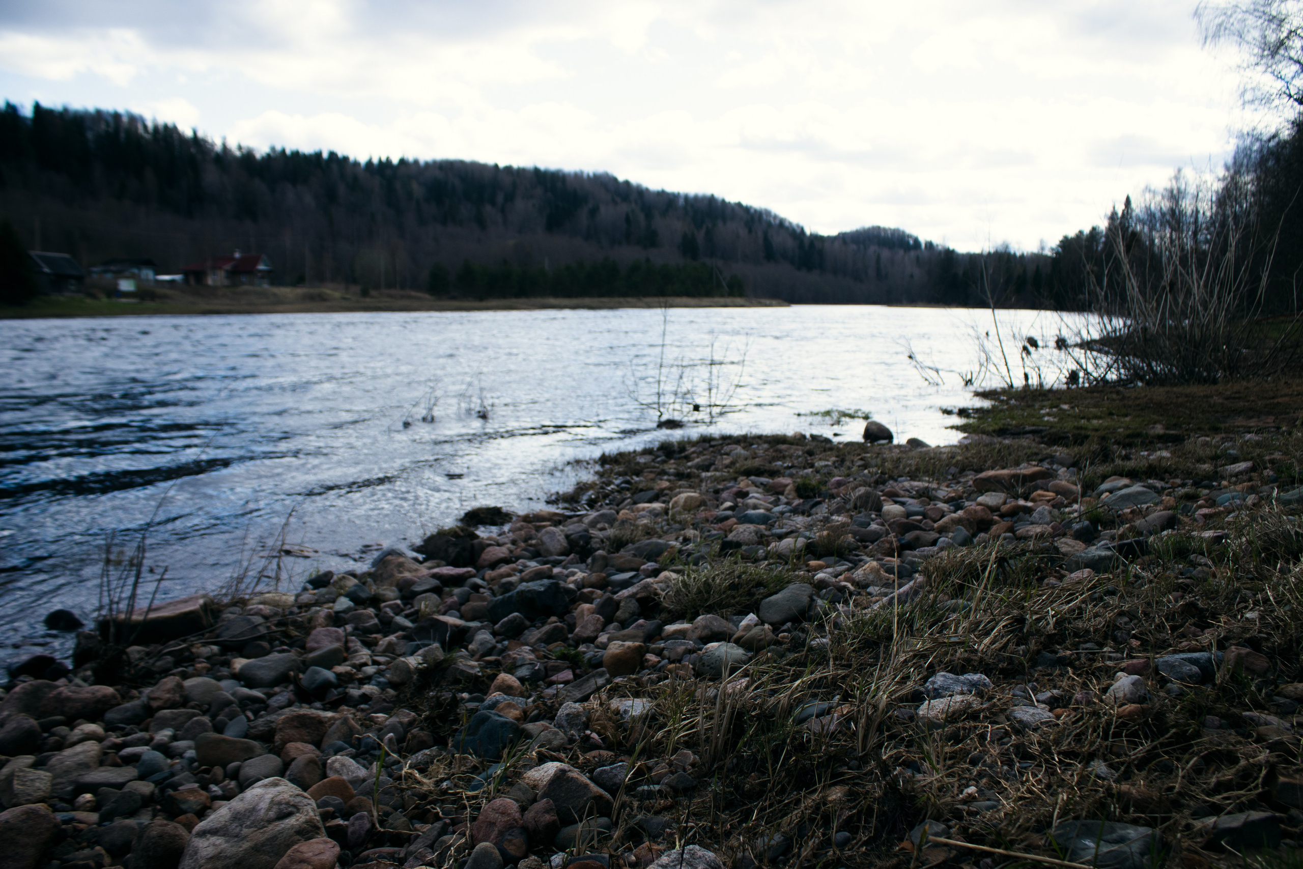 Вепсский ковчег. Полина Щапова БМК235 Медиаком — НИУ ВШЭ