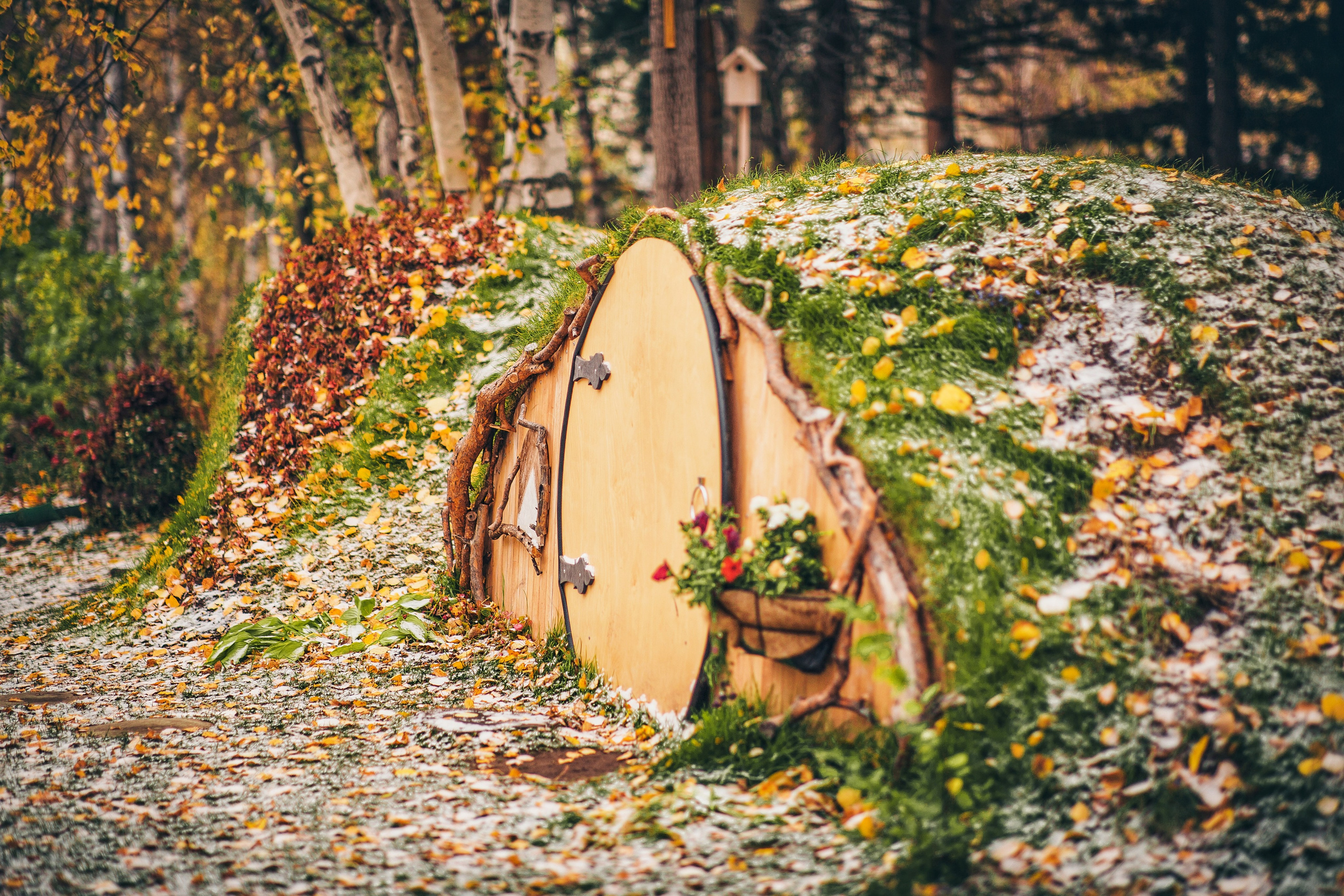 Сургут. Фотограф в г. Сургуте Марина Киприна