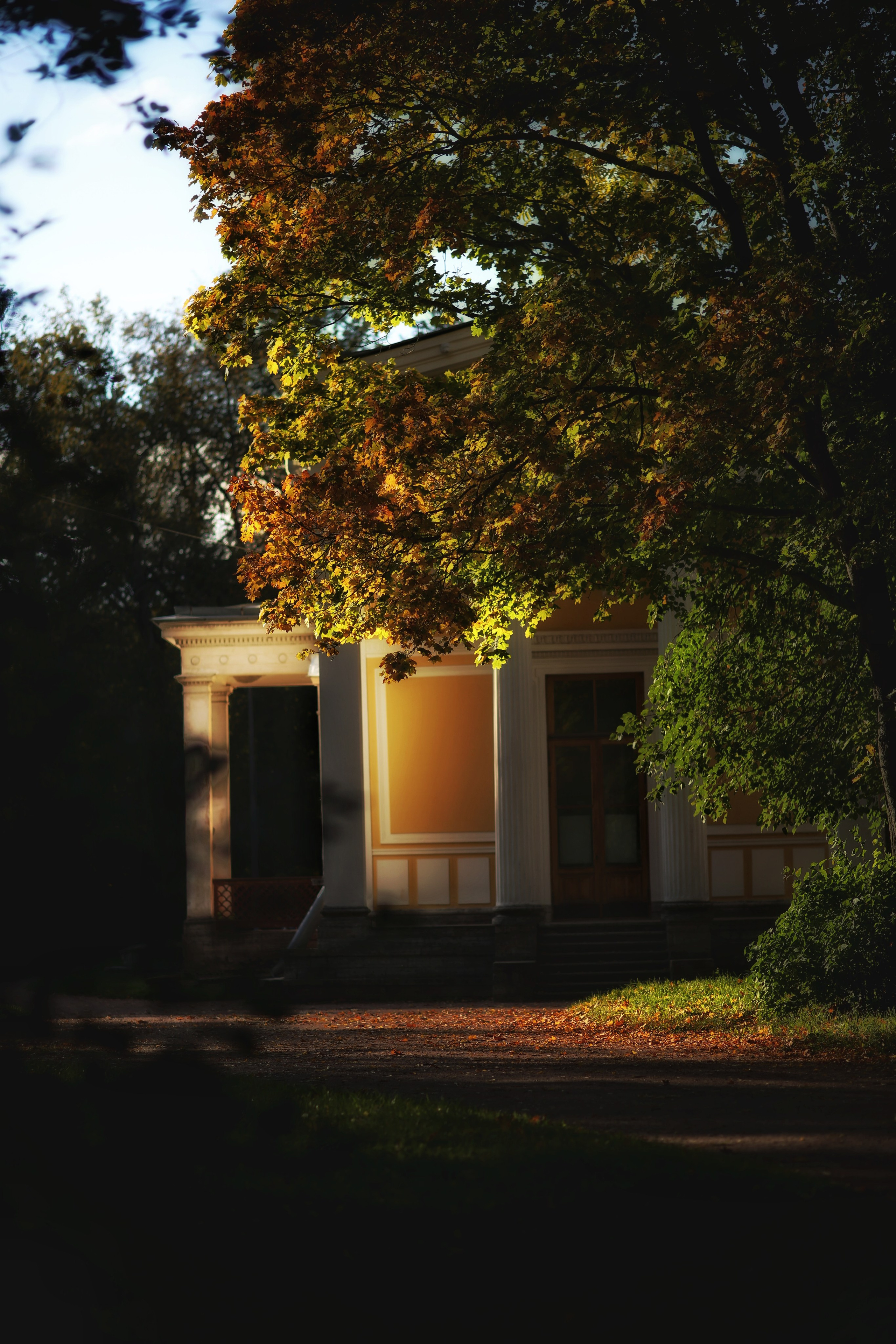 Санкт — Петербург. Фотограф в г. Сургуте Марина Киприна