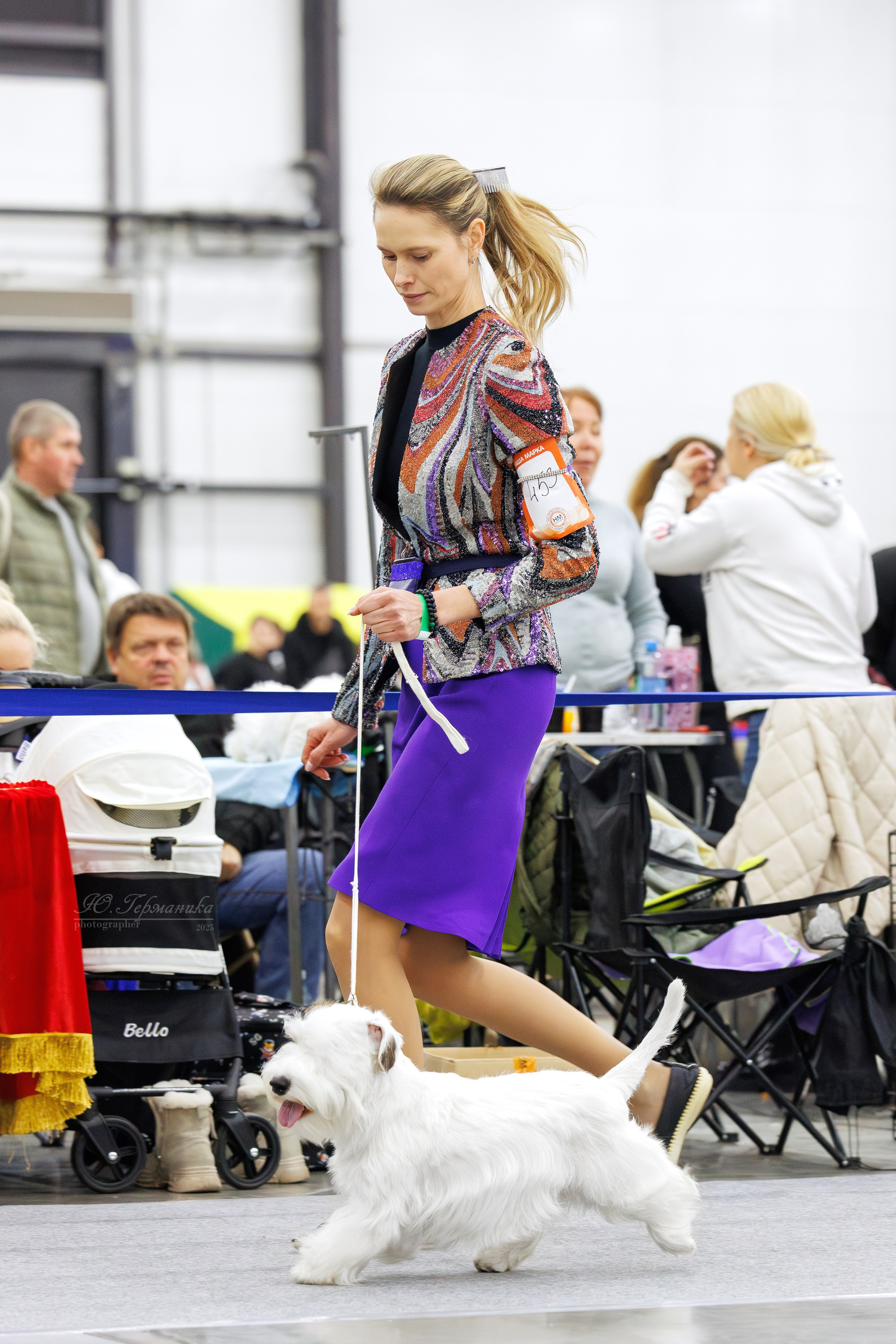 Питер 12-13.12.2025. Фотограф-анималист Юлия Германика