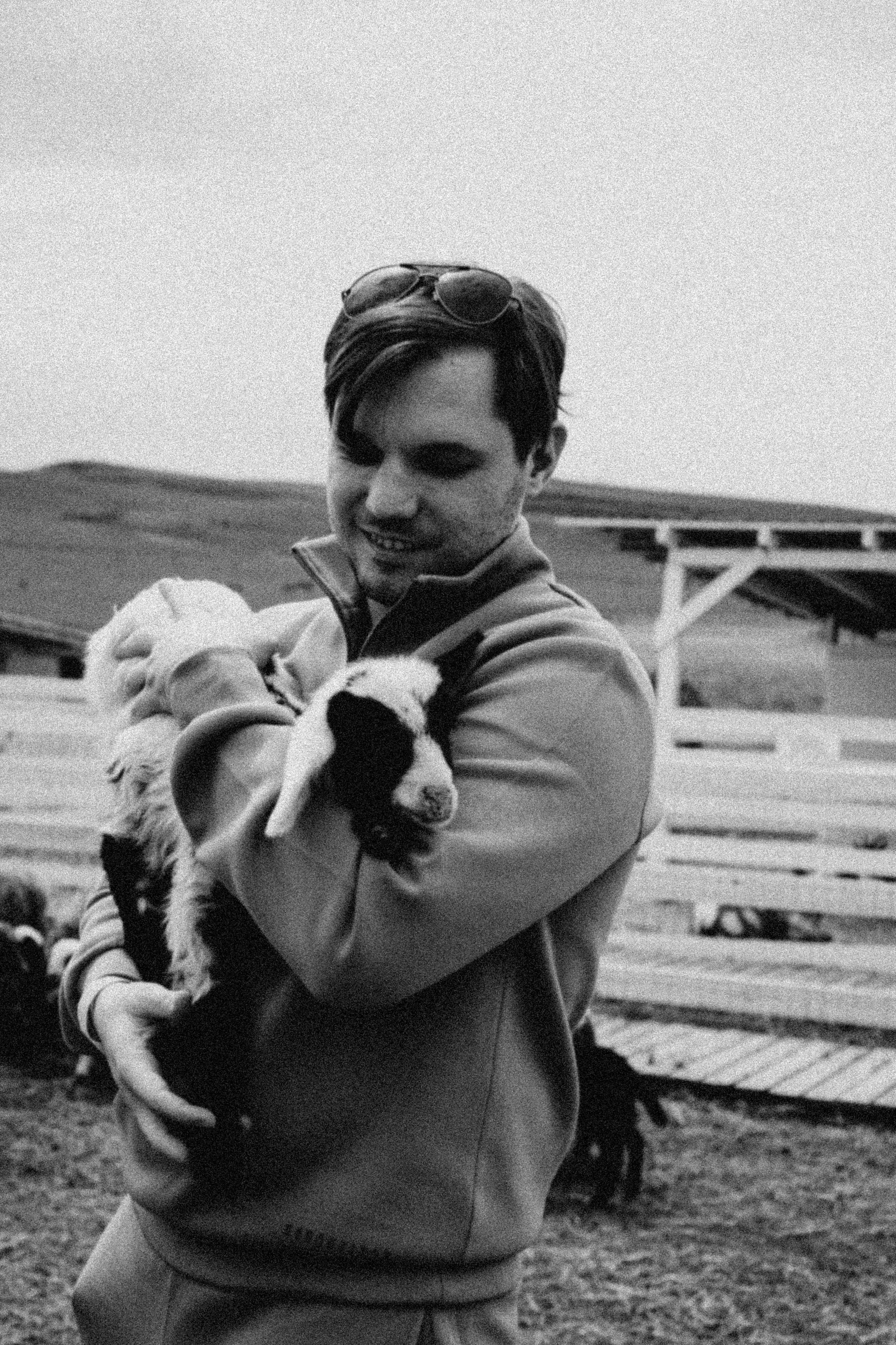 Ферма Альпак. Профессиональный фотограф, Санкт-Петербург — Виктория Богомолова