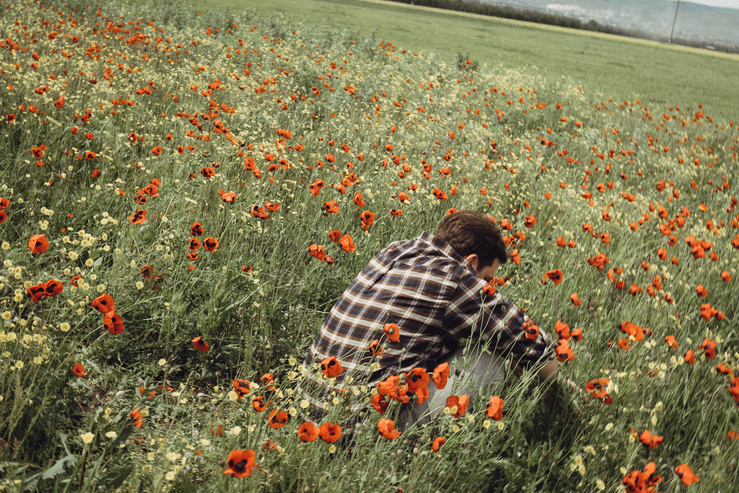 Маки. Профессиональный фотограф, Санкт-Петербург — Виктория Богомолова