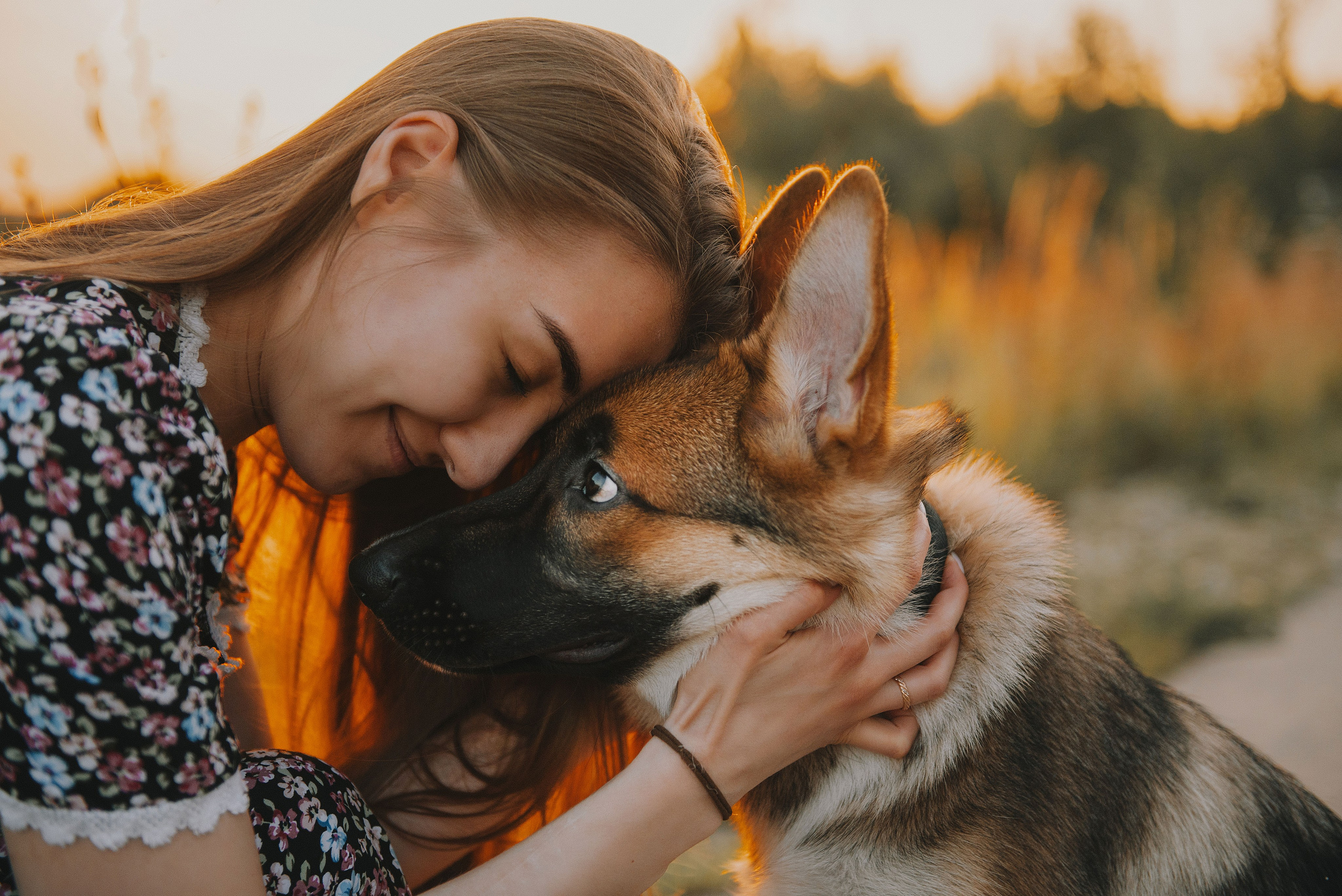 Эмир, Алсу и немецкая овчарка Рэй (Щелково, 2023). Анна Пушина, фотограф, Москва, Королев, Пушкино