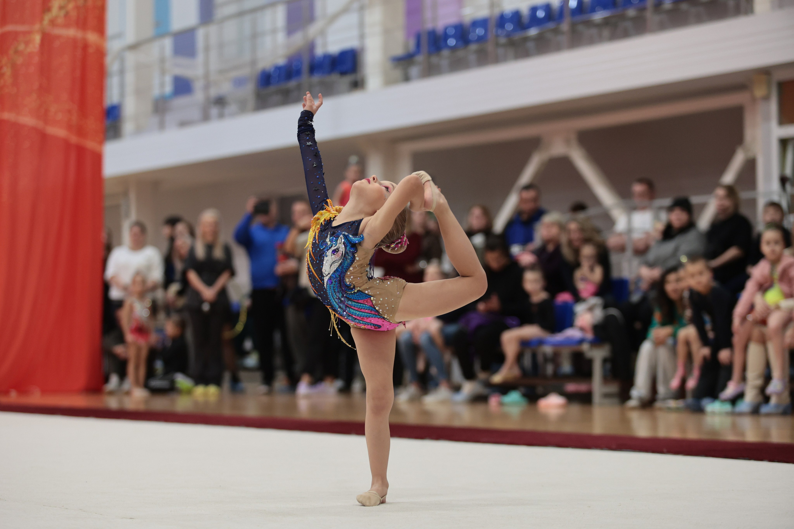 Профессиональная съемка гимнастического турнира в Пскове. Портретный Фотограф Александр «Konevtsoph» В Санкт-Петербурге