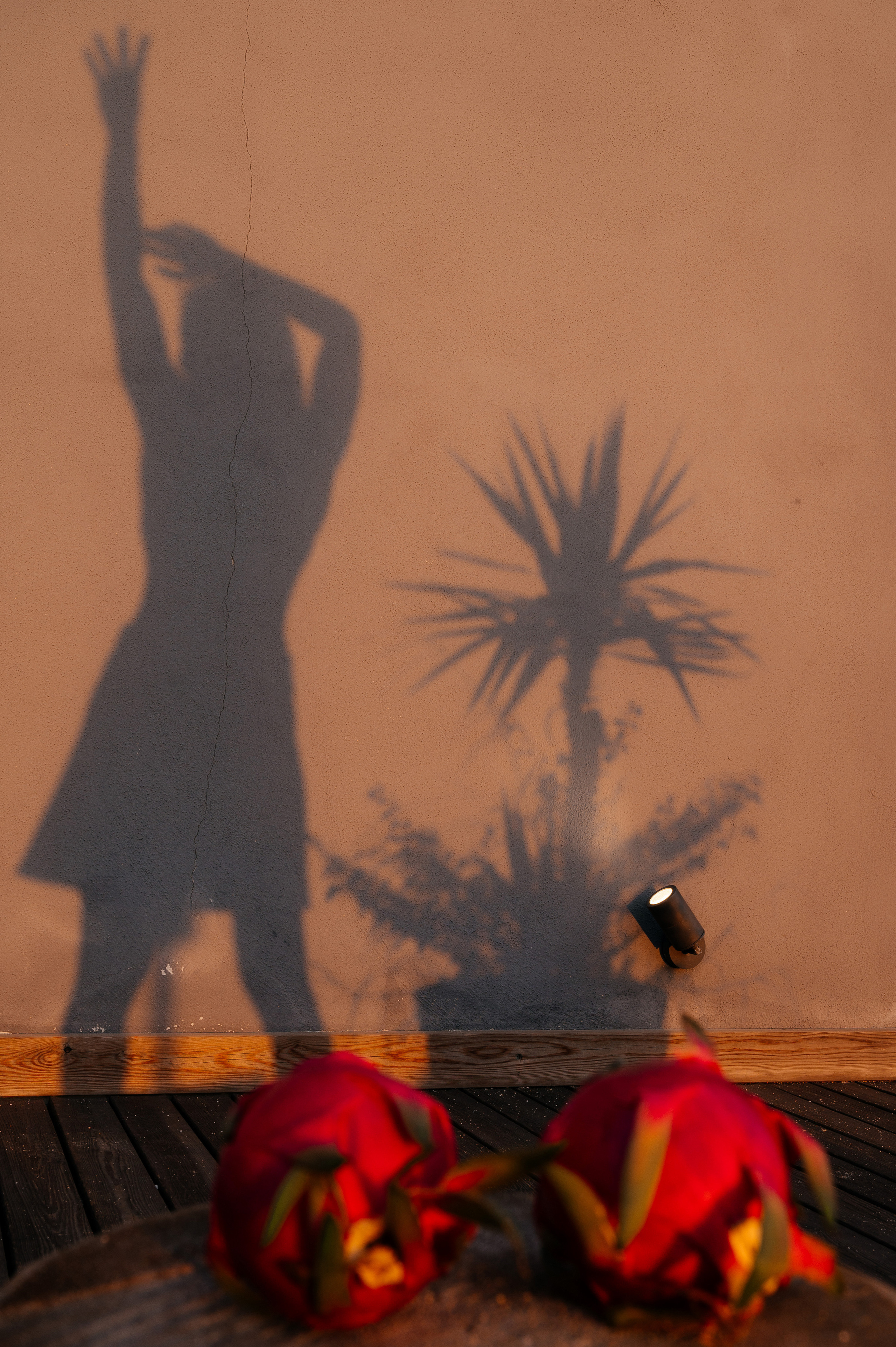 Julia. Photo & Video production, in Bishkek, Kyrgyzstan