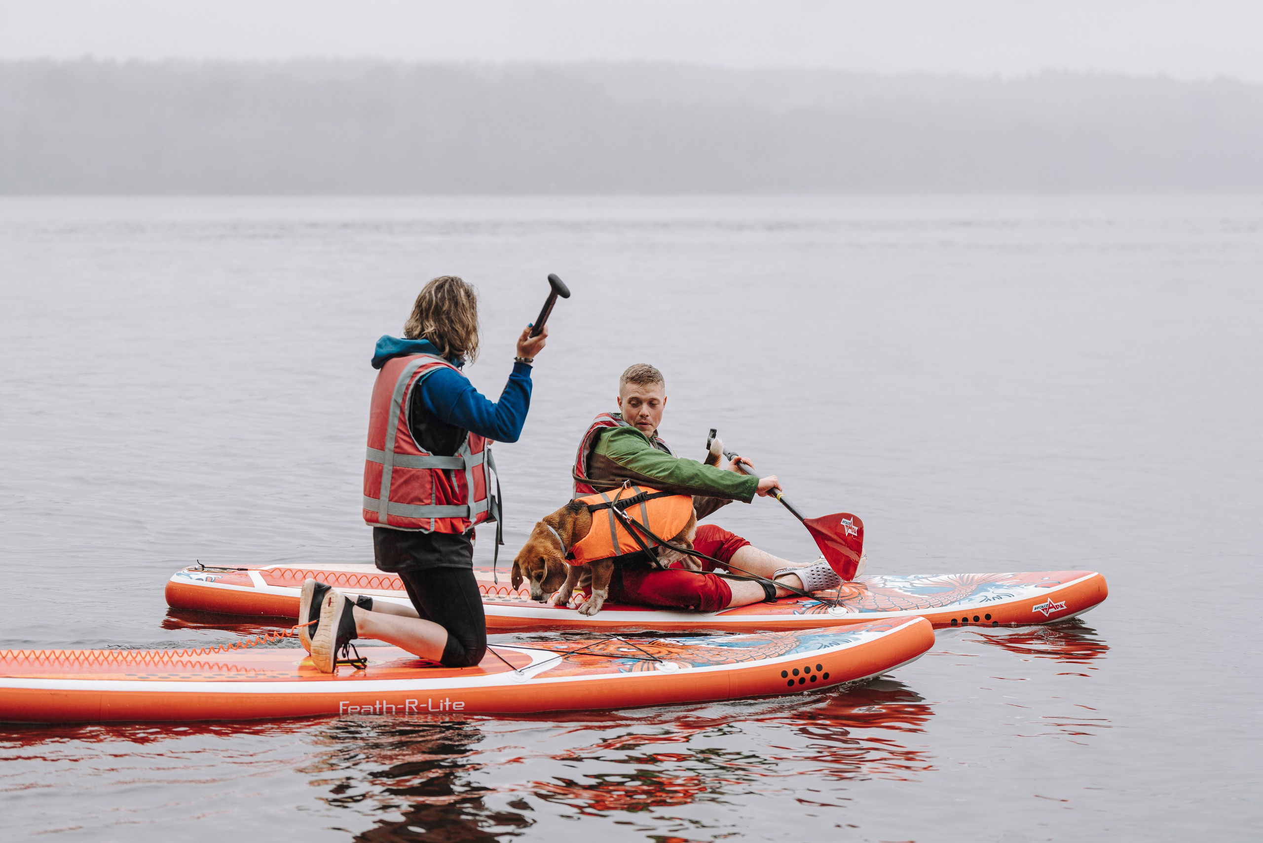 Катание на сапах с собаками. Фотограф анималист в Спб недорого Олеся Майорова