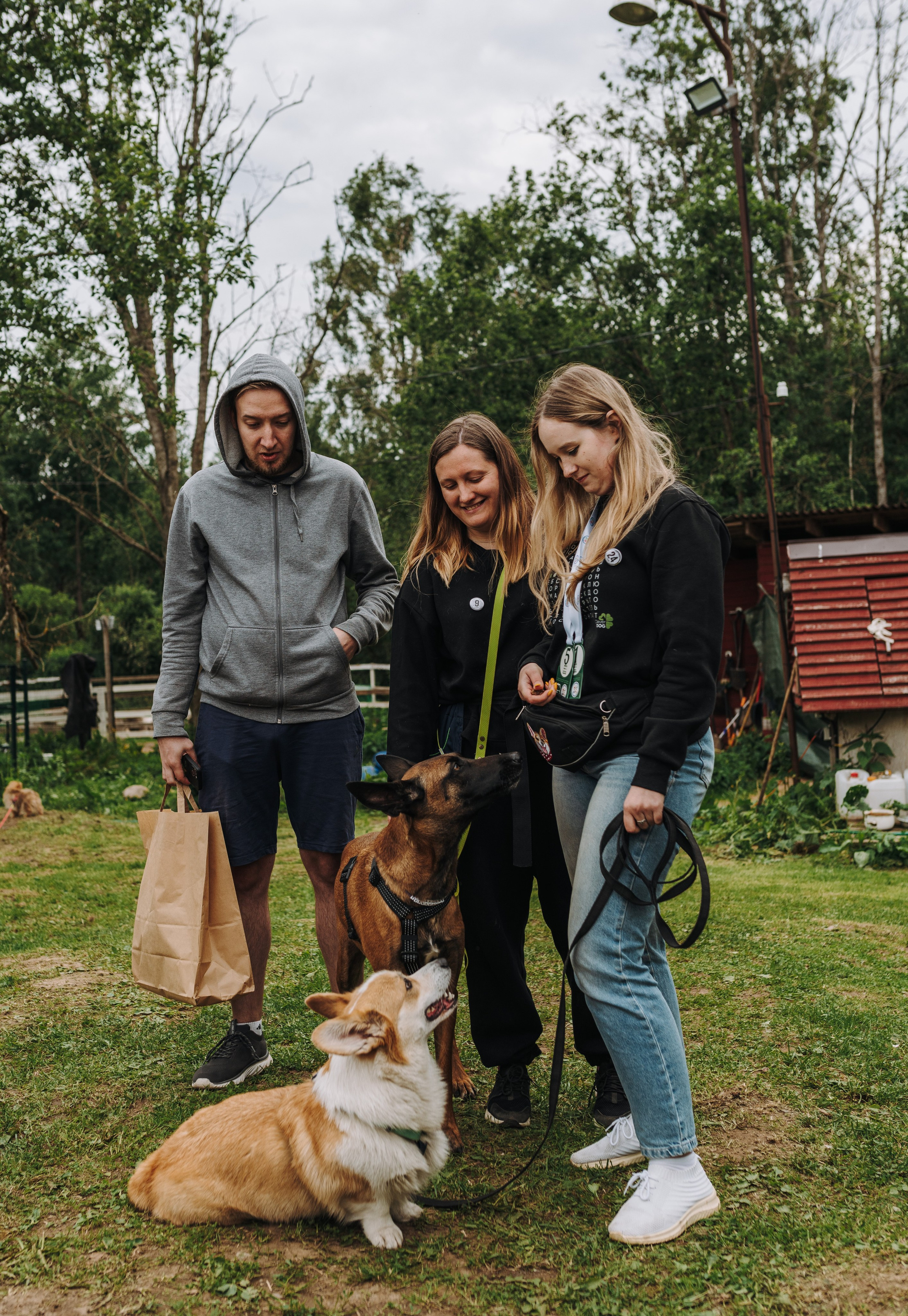Соревнования по ноузворку. Фотограф анималист в Спб недорого Олеся Майорова