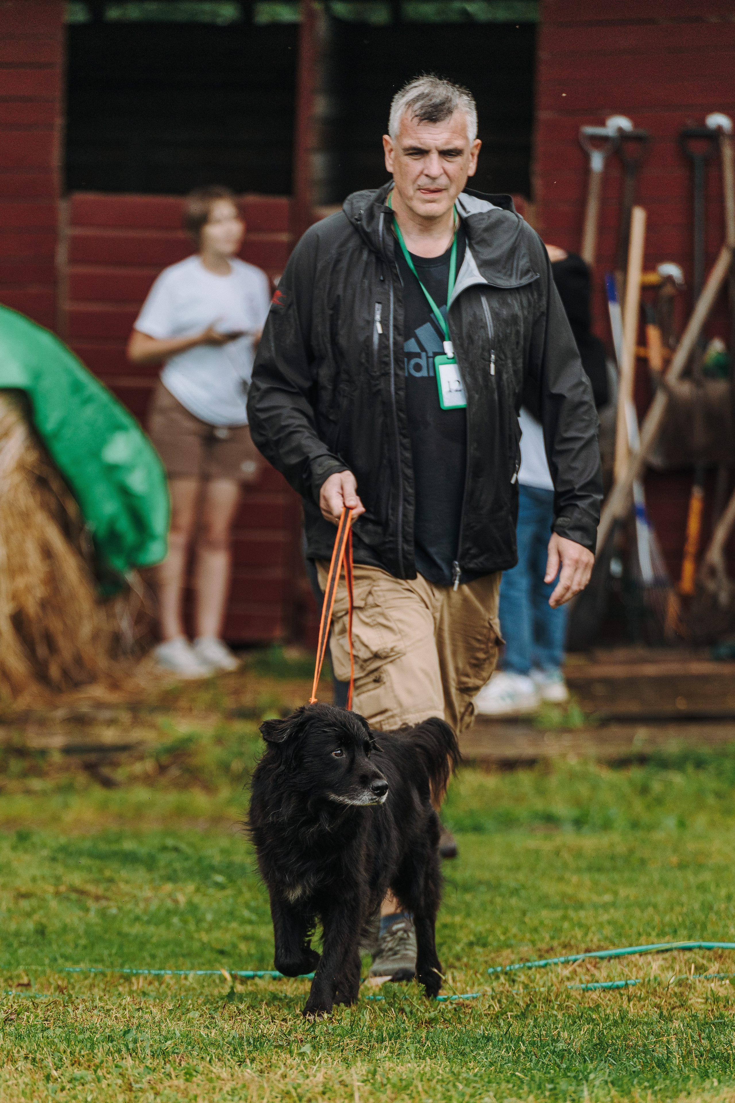 Соревнования по ноузворку в Новожилово. Фотограф анималист в Спб недорого Олеся Майорова
