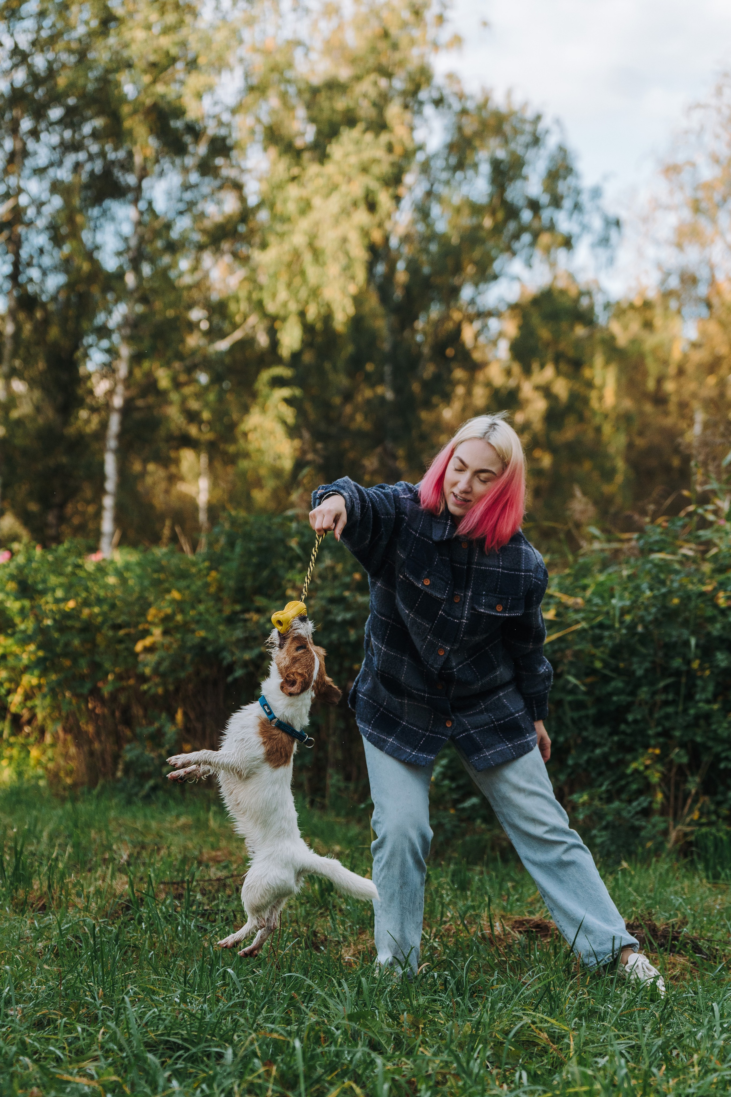 Фотосессия с маленькой собакой Спб. Фотограф анималист в Спб недорого Олеся Майорова