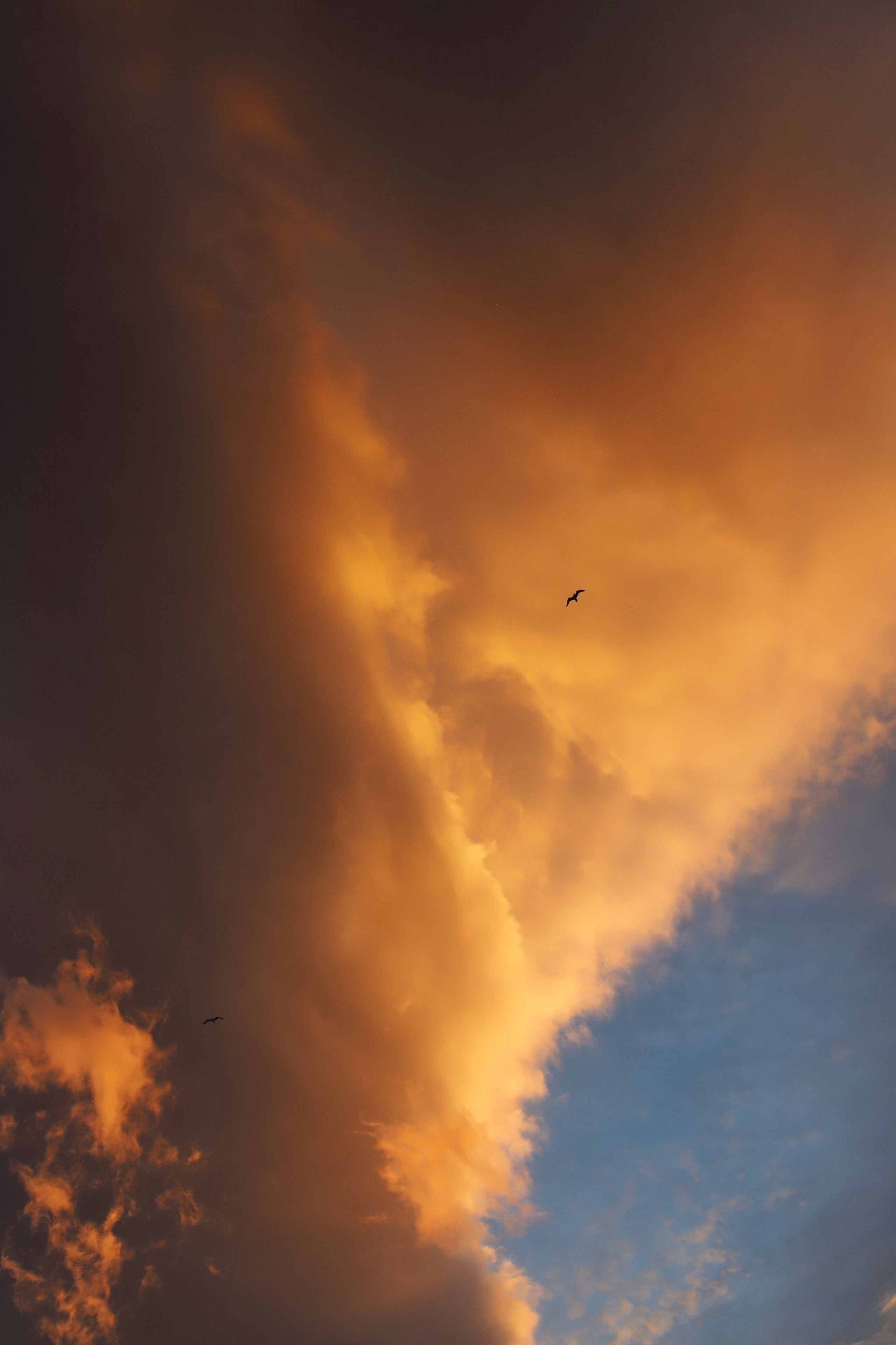 Восточная набережная. Фотограф и видеограф в Санкт-Петербурге