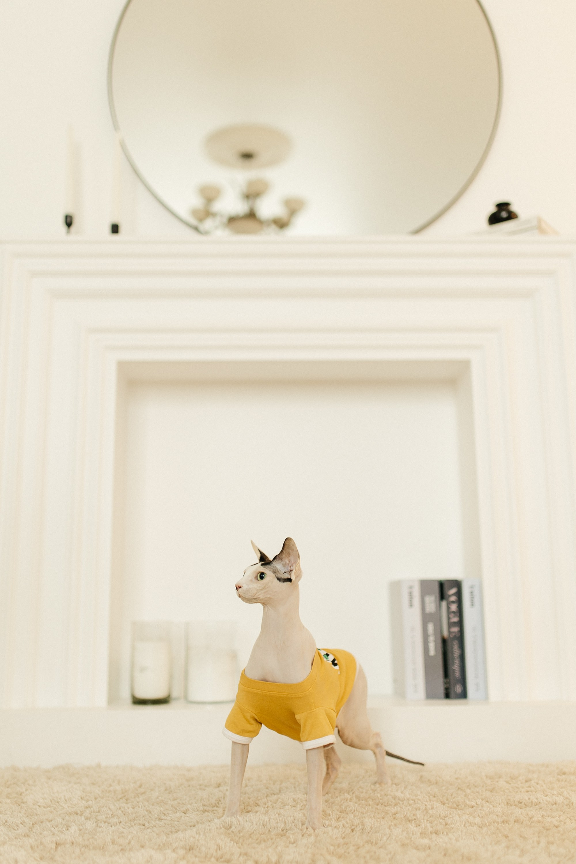 Анастасия и Алексей. Свадебный и семейный фотограф Виолетта Сидельникова. Краснодар, Россия, Беларусь, Европа