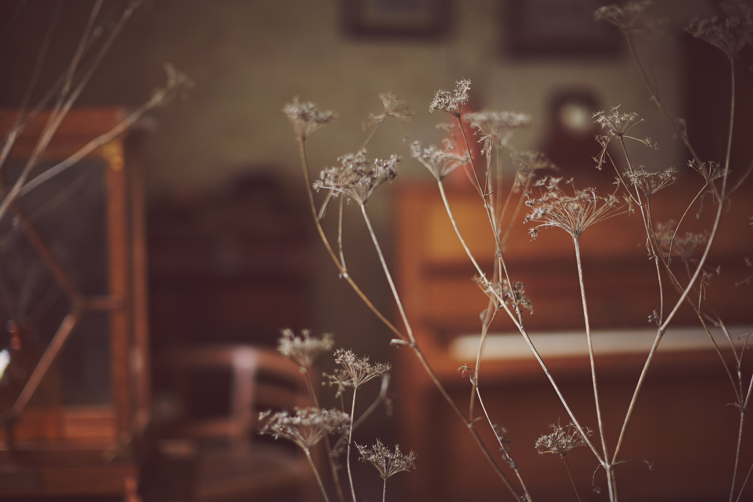 Настя. Интерьерный и портретный фотограф в Москве Анна Моногарова