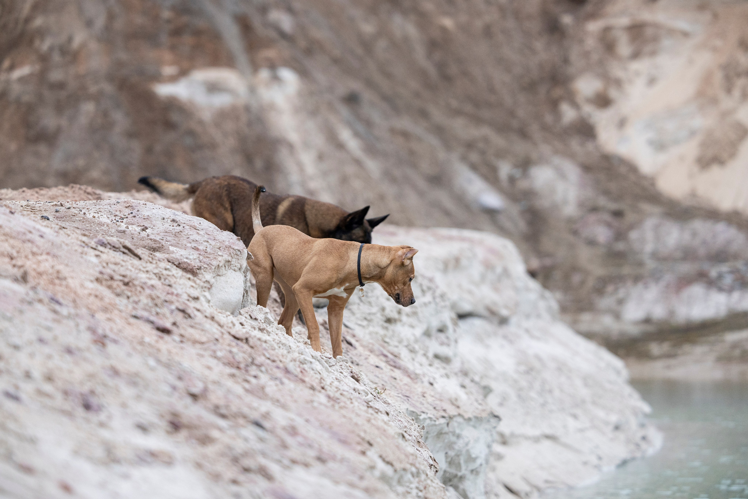 Лужские Мальдивы. Фотограф-анималист Анна Маринич