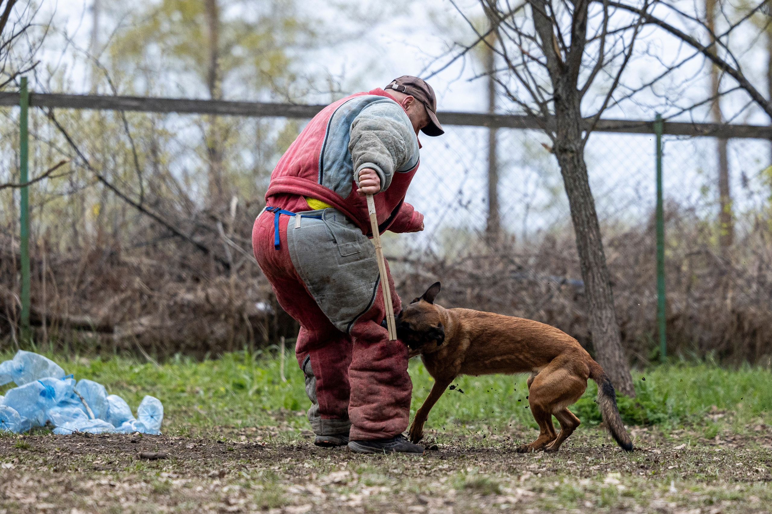 Квалификационные состязания по мондьорингу г. Вологда 11.05.24. Фотограф-анималист Анна Маринич