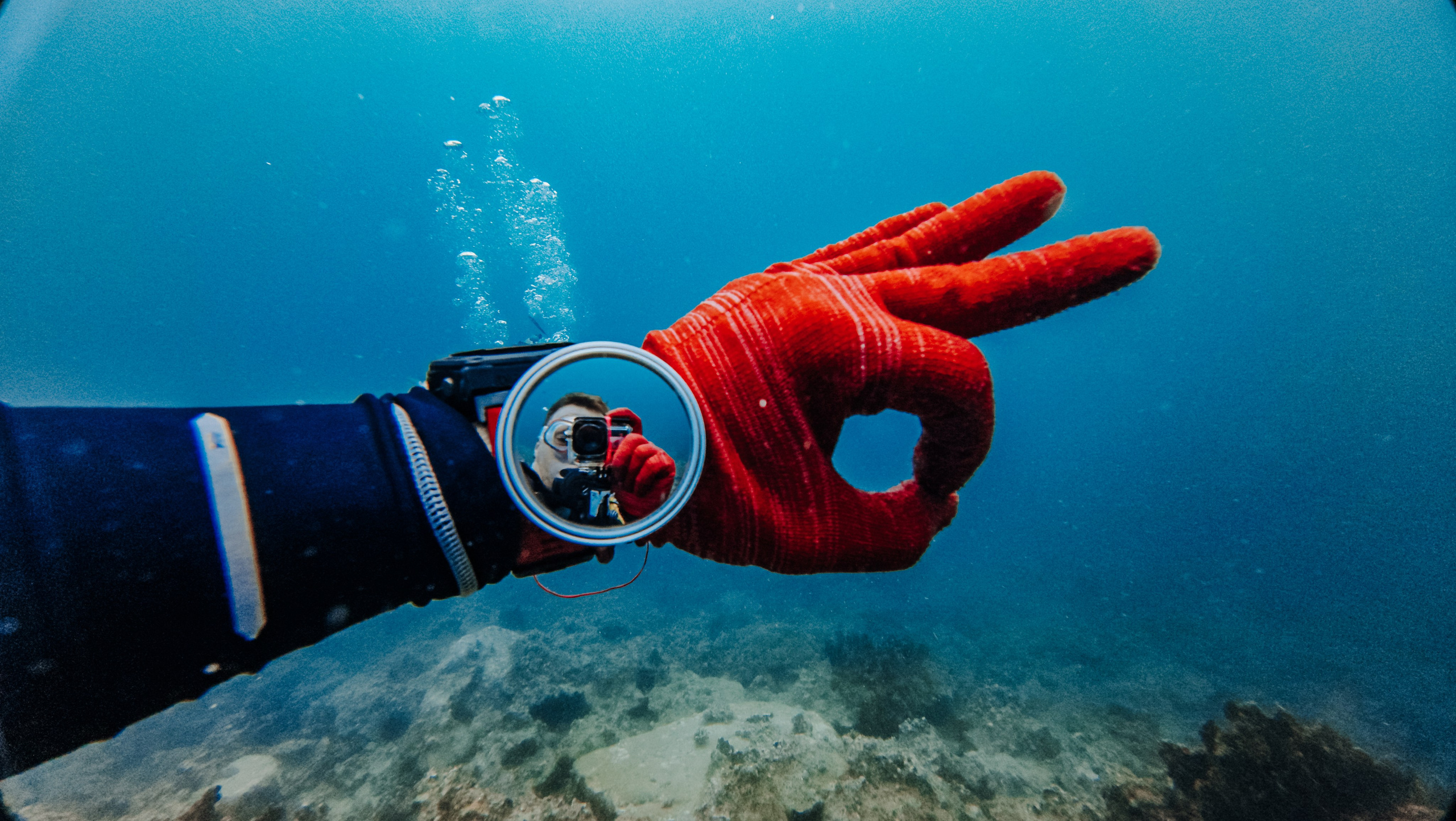 Галерея. Дайвинг во Вьетнаме