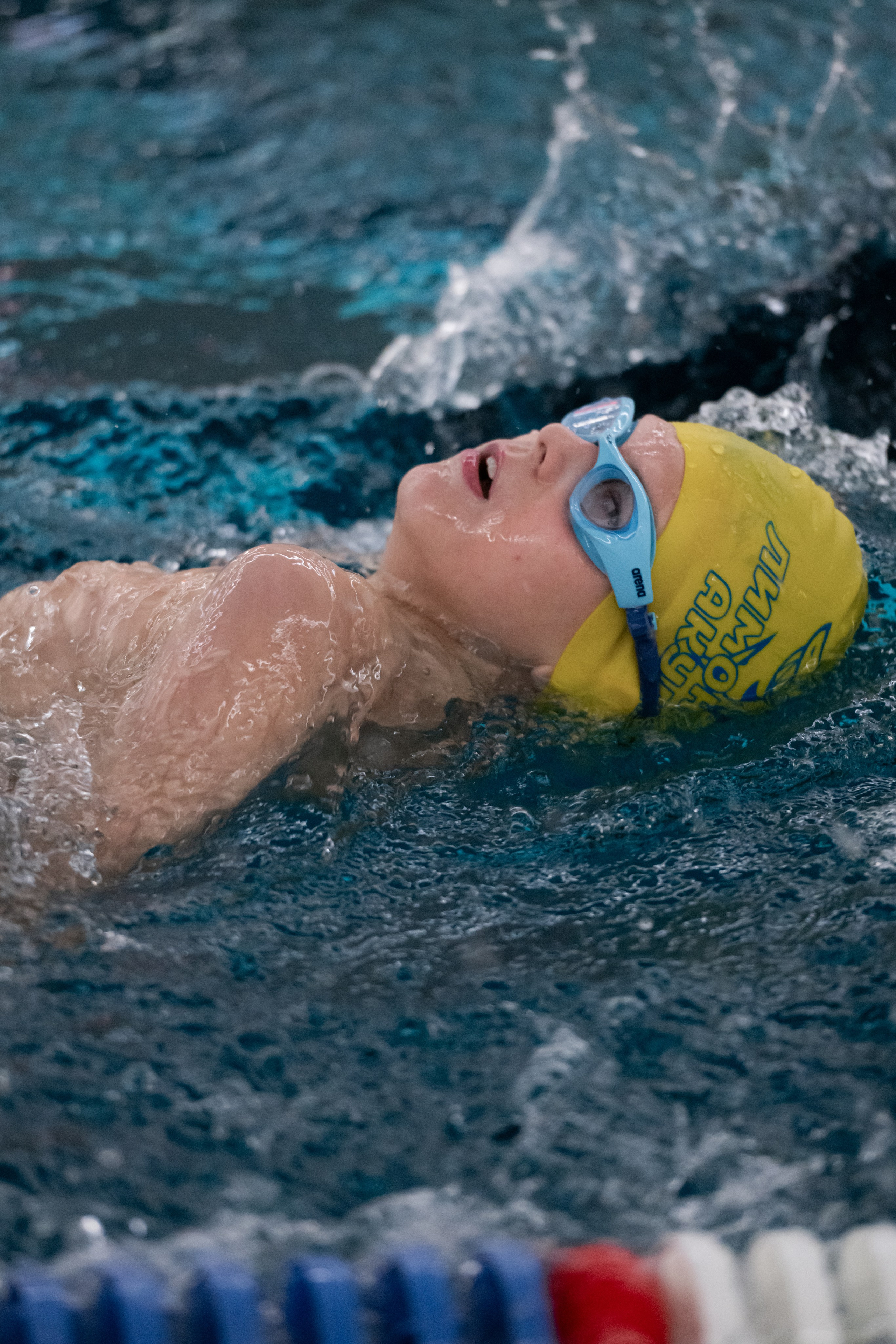 ЧЕМПИОНАТ ПО ПЛАВАНИЮ. ДИНА МИХНЕВА спортивный фотограф Москва