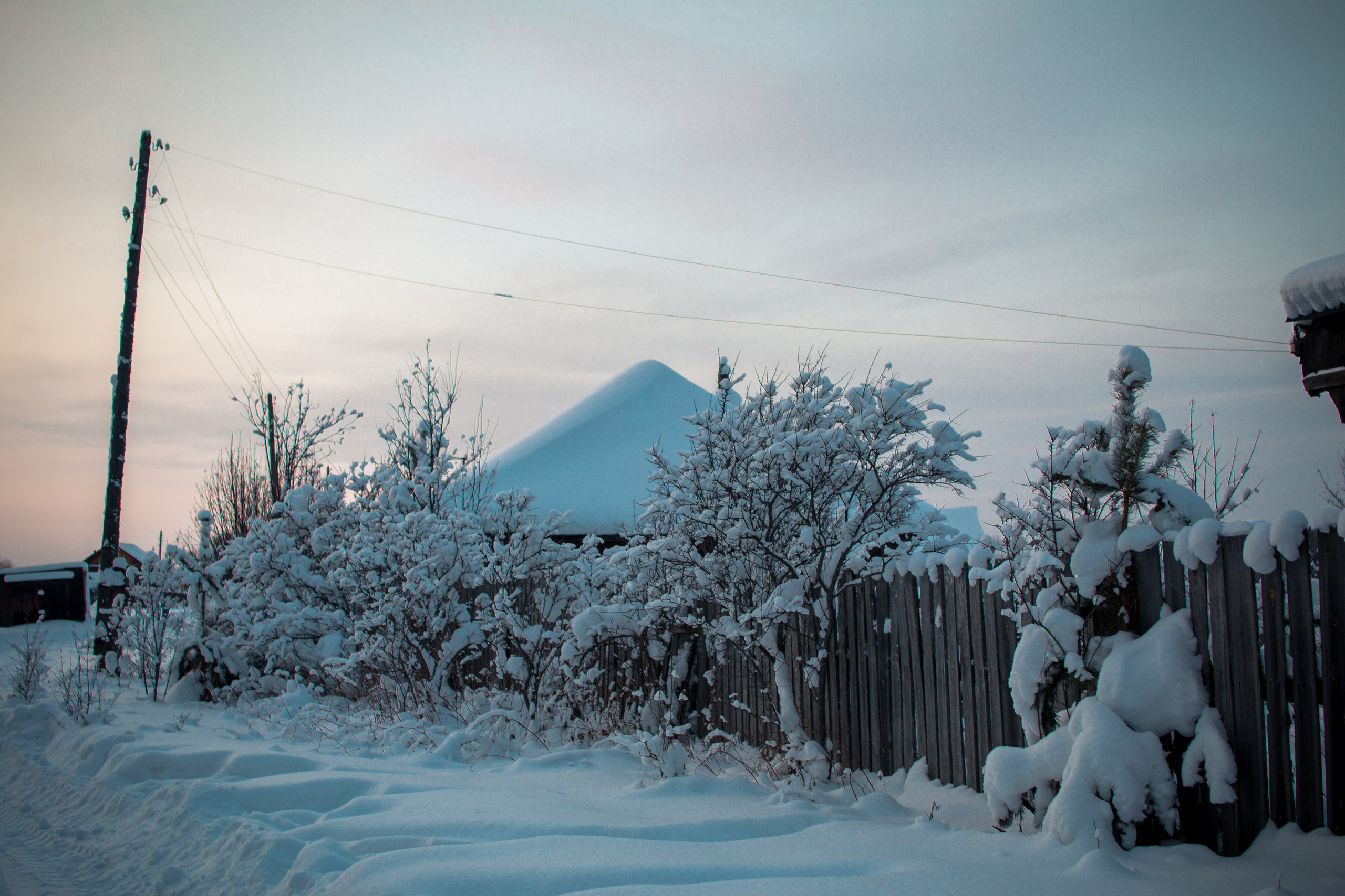 Зима. Ваш фотограф Северск | Томск