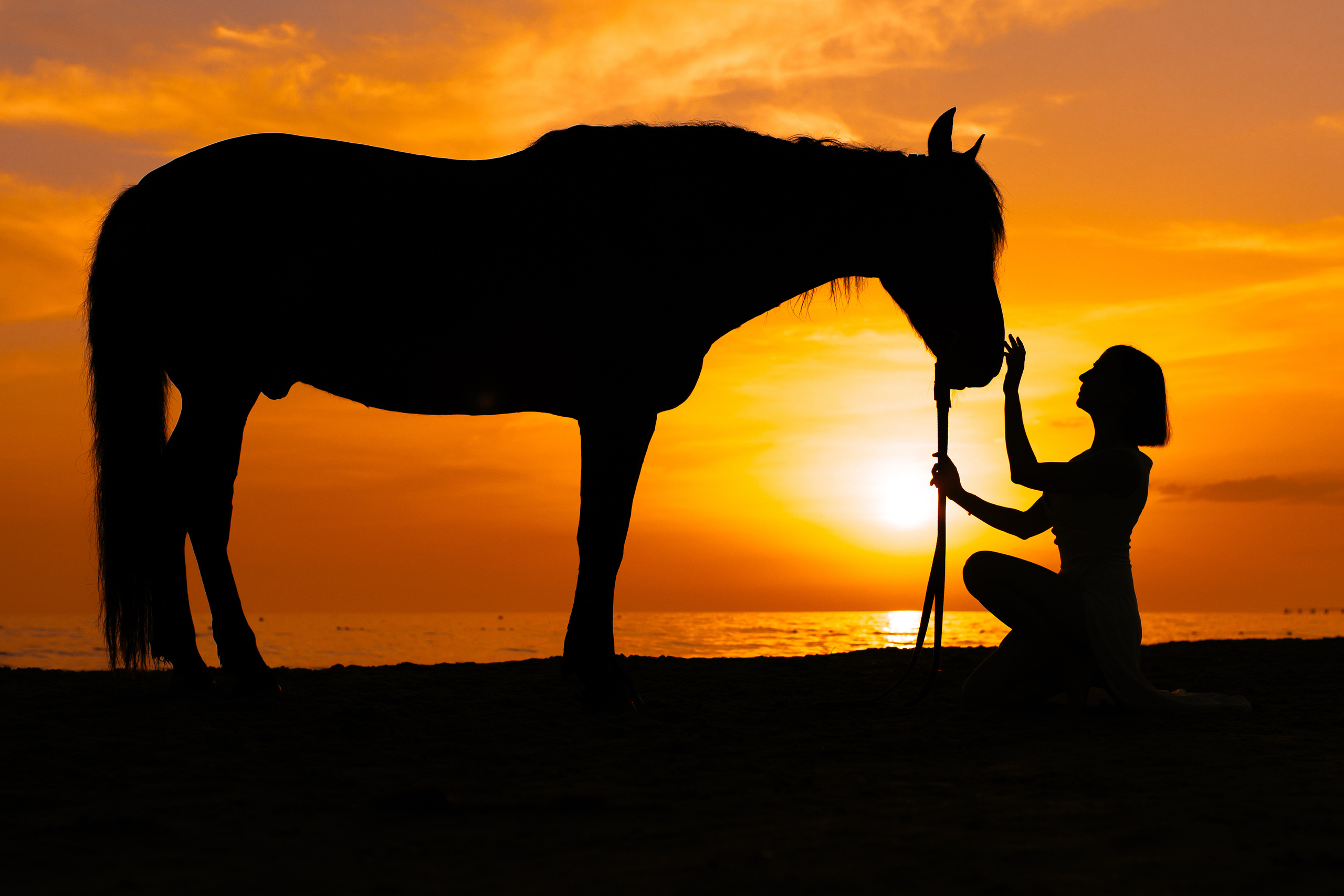Индивидуальные. Фотограф и видеограф Москва Анапа