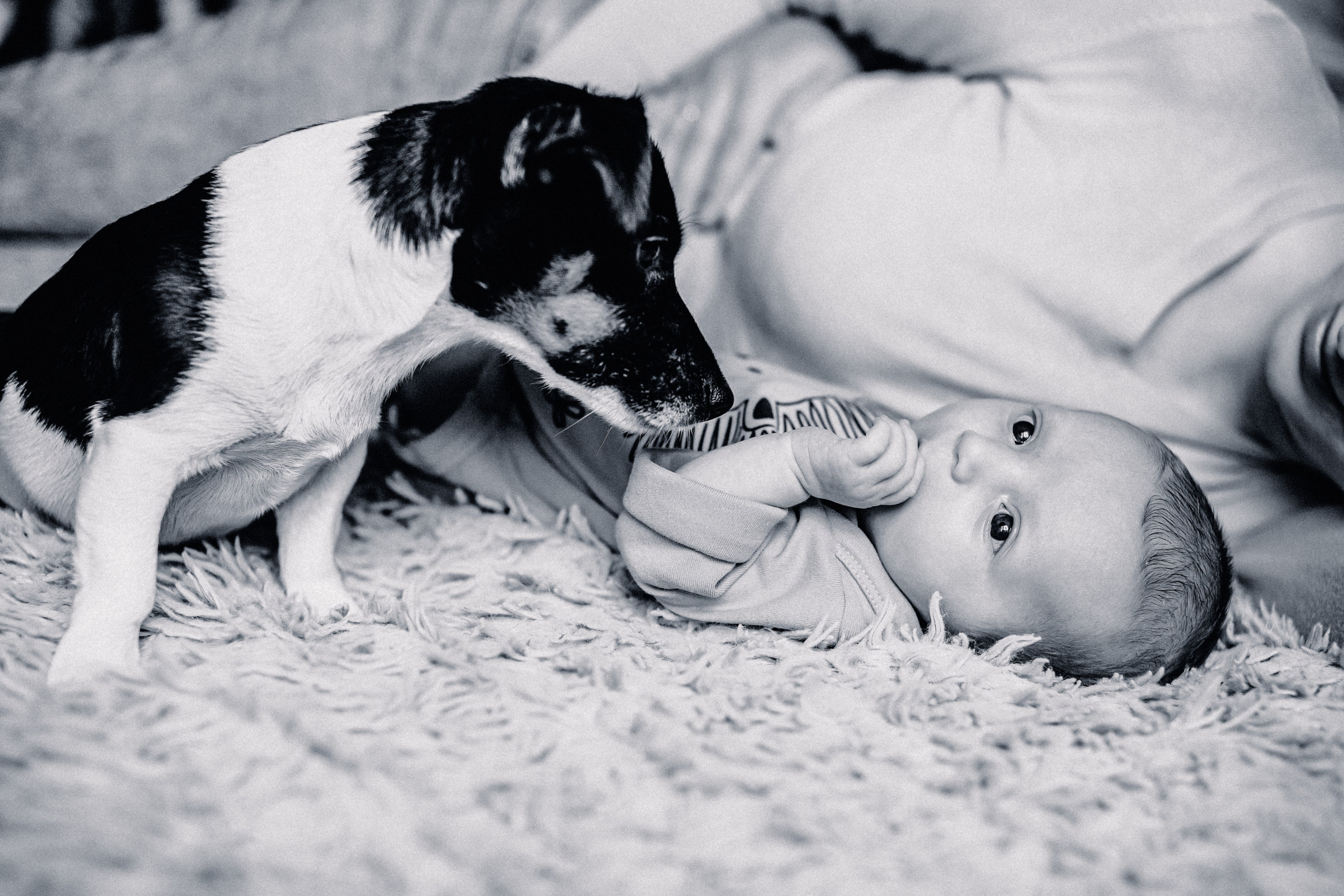 Семейные истории. Портретный и свадебный фотограф в Воронеже Елена Михайлова