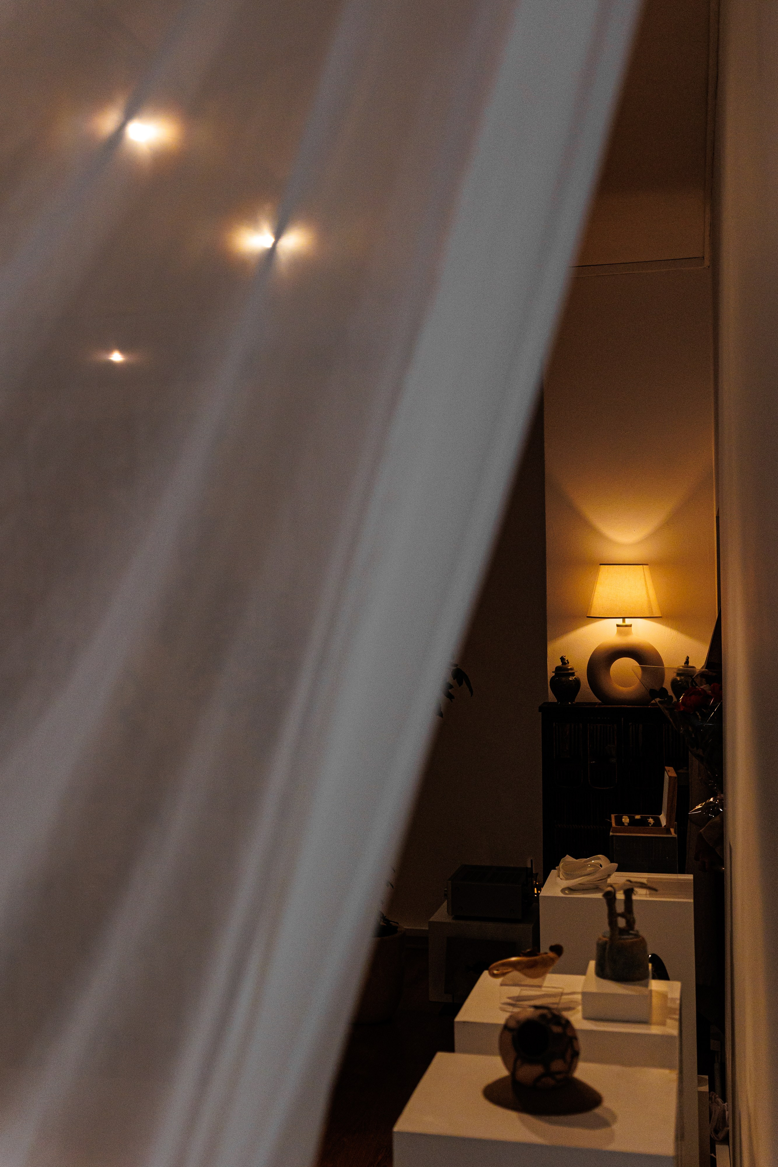 Открытие выставки | Центр современного искусства № 9. Репортажный фотограф Семён Борисов | Москва