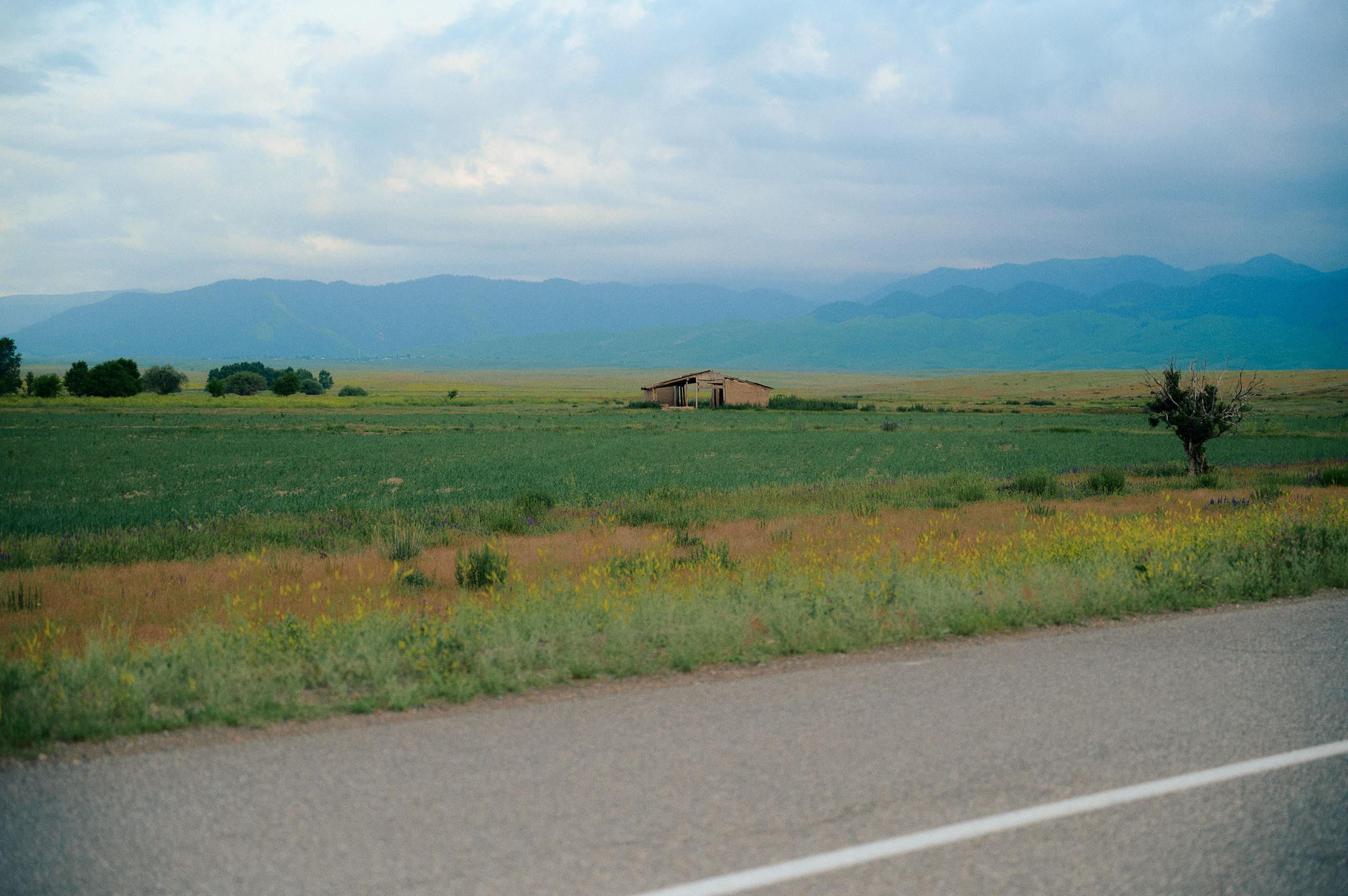 2025 — путешествия на цифру. Photographer in Almaty — Alexey Konkov | Reportage, Weddings, Portraits, Love Story